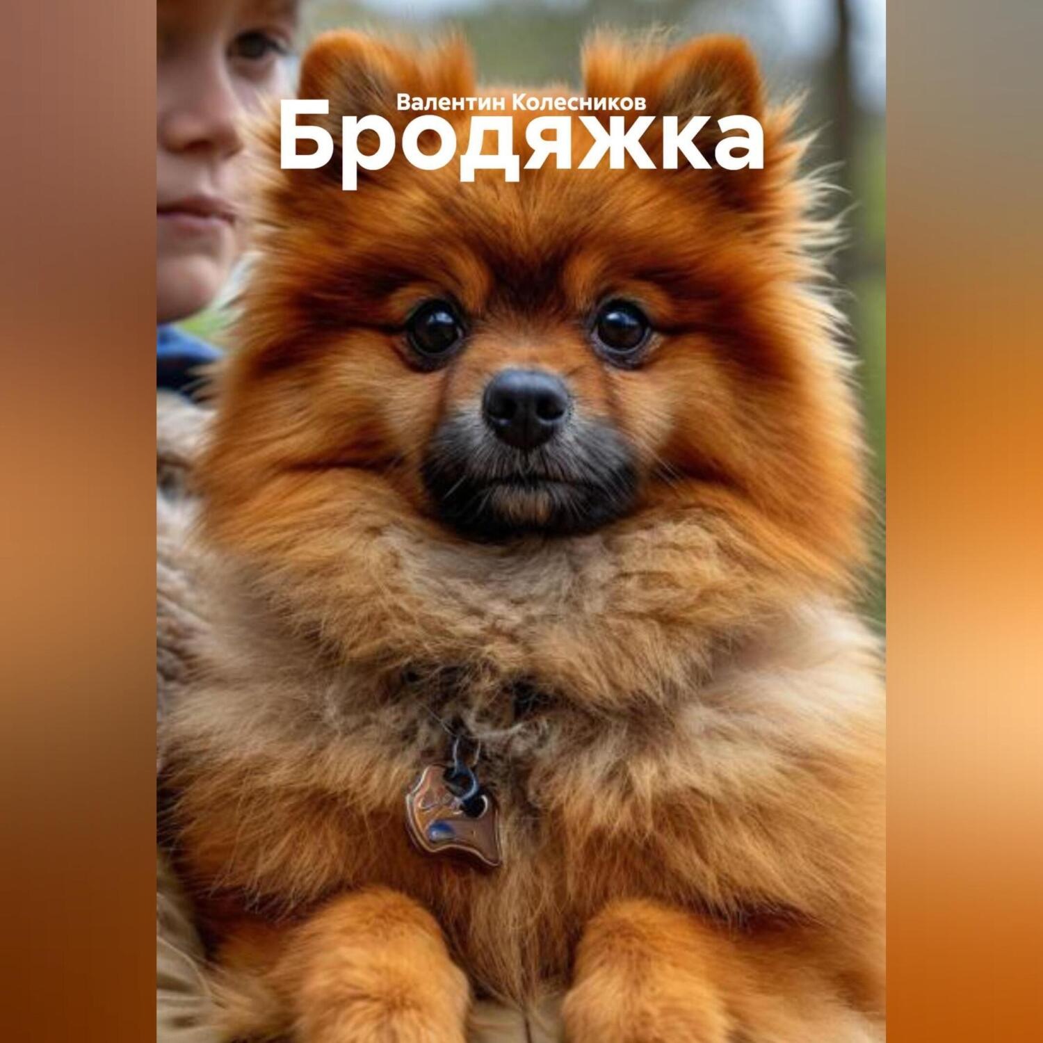 Обложка книги «Бродяжка»