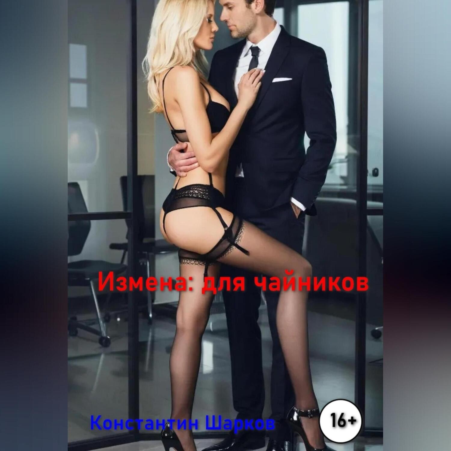 Обложка книги «Измена для чайников»