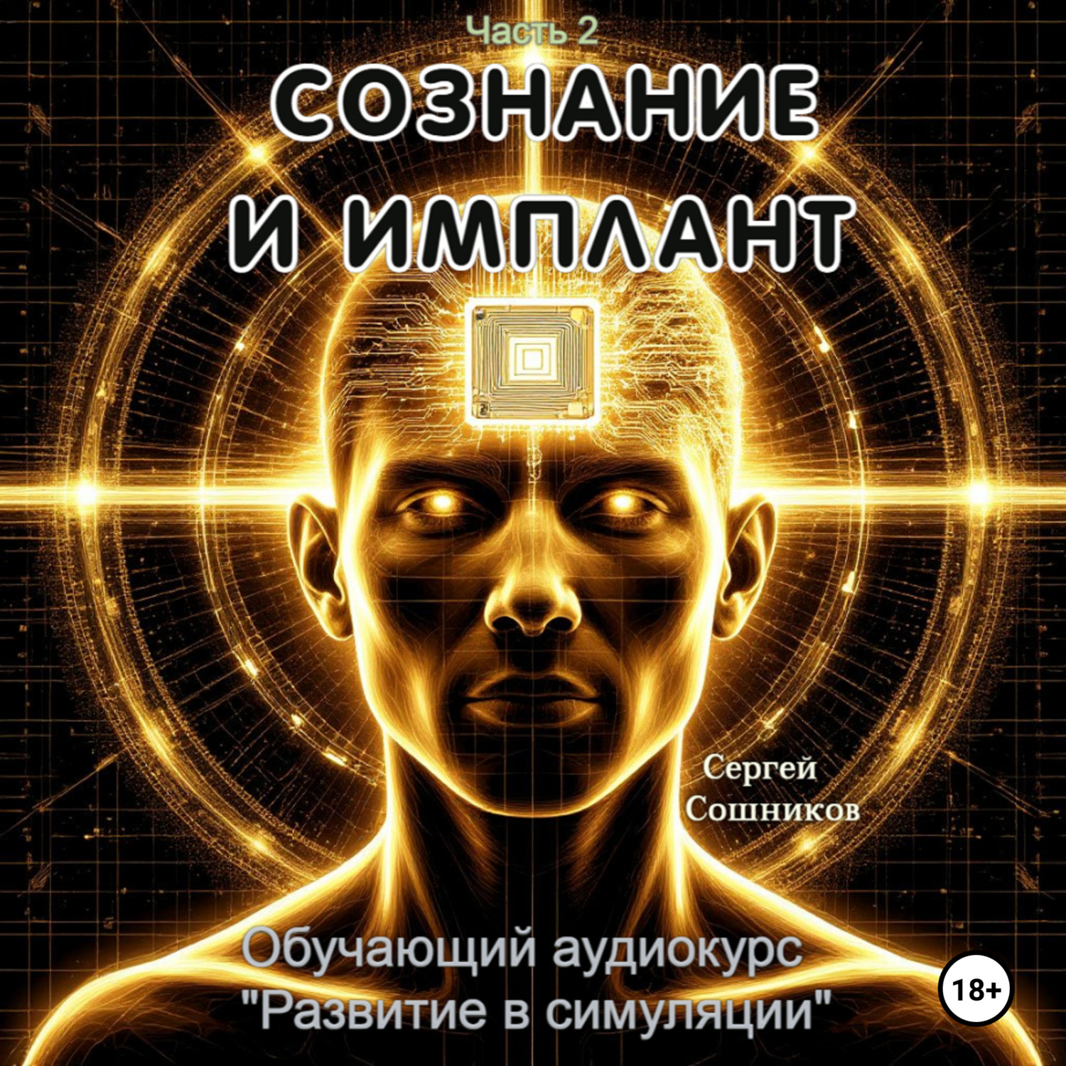 Обложка книги «Сознание и имплант»