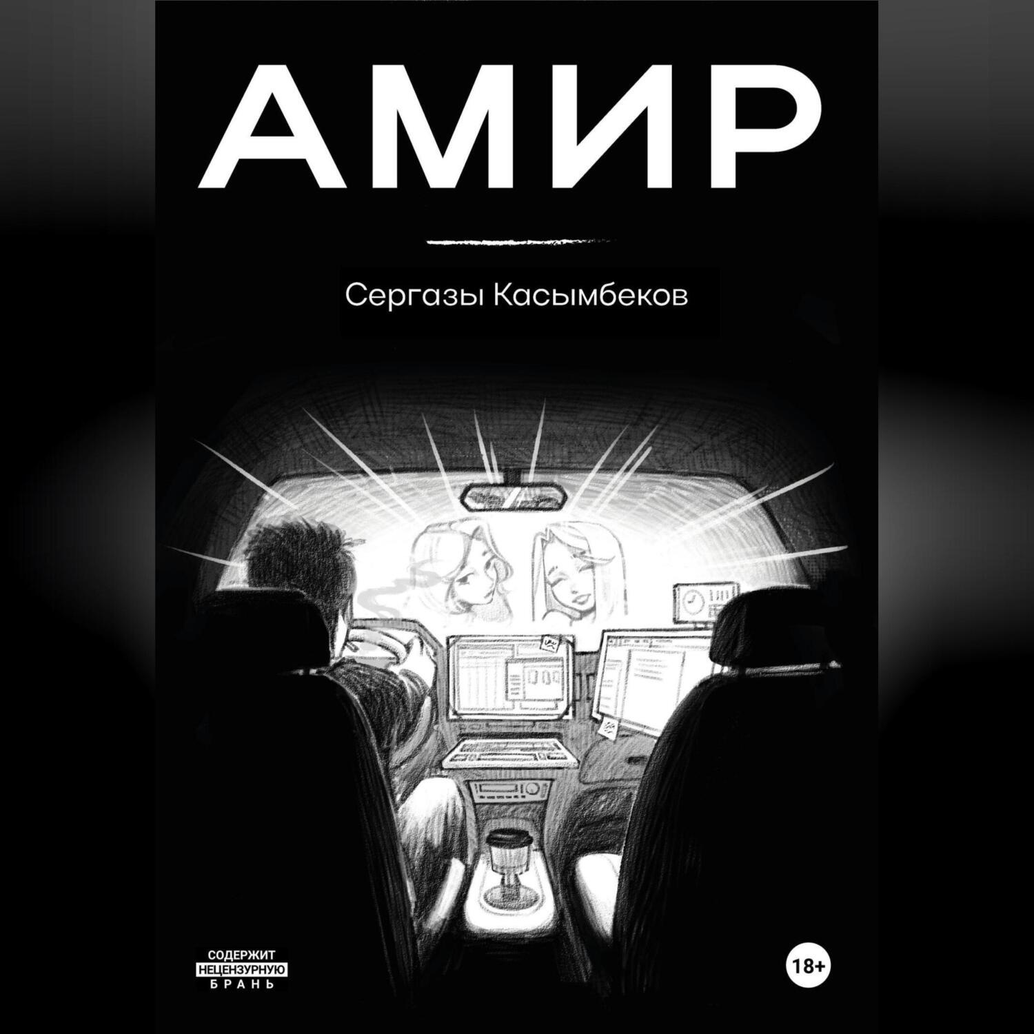 Обложка книги «Амир»