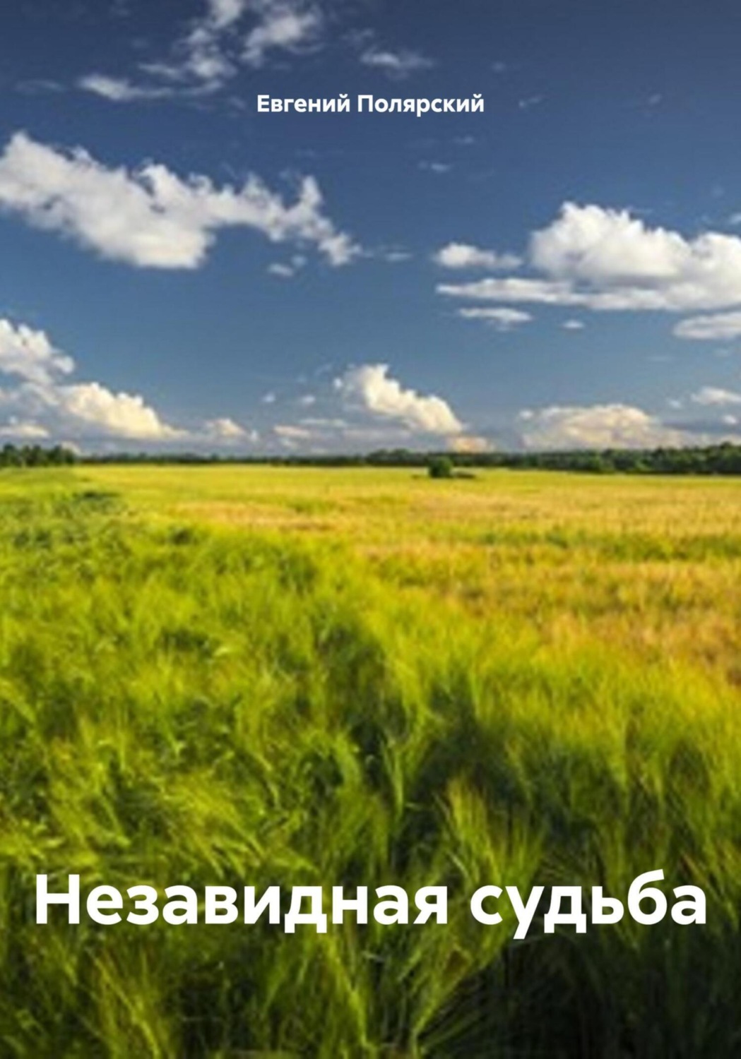 Обложка книги «Незавидная судьба»