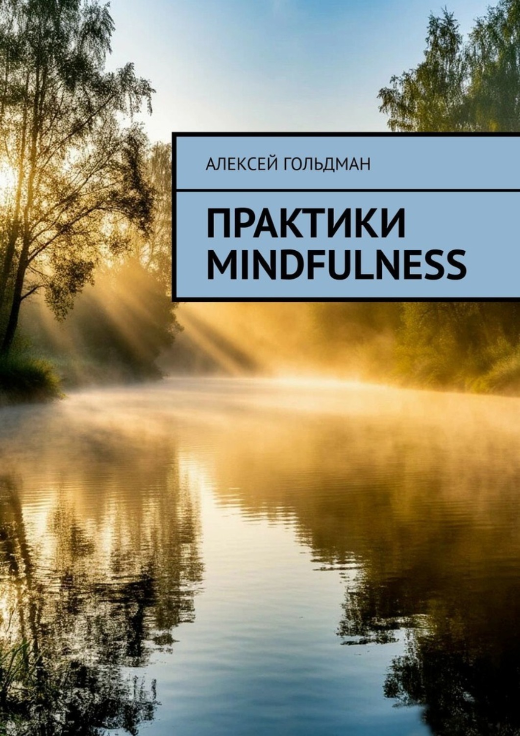 Обложка книги «Практики mindfulness»