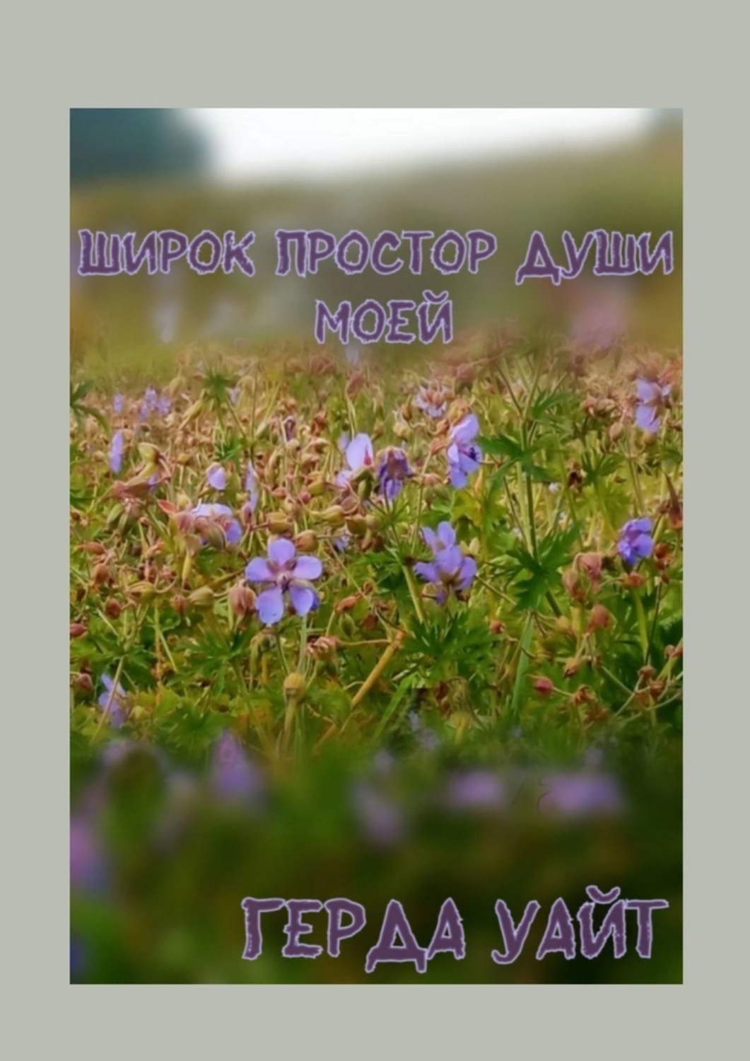 Обложка книги «Широк простор души моей»
