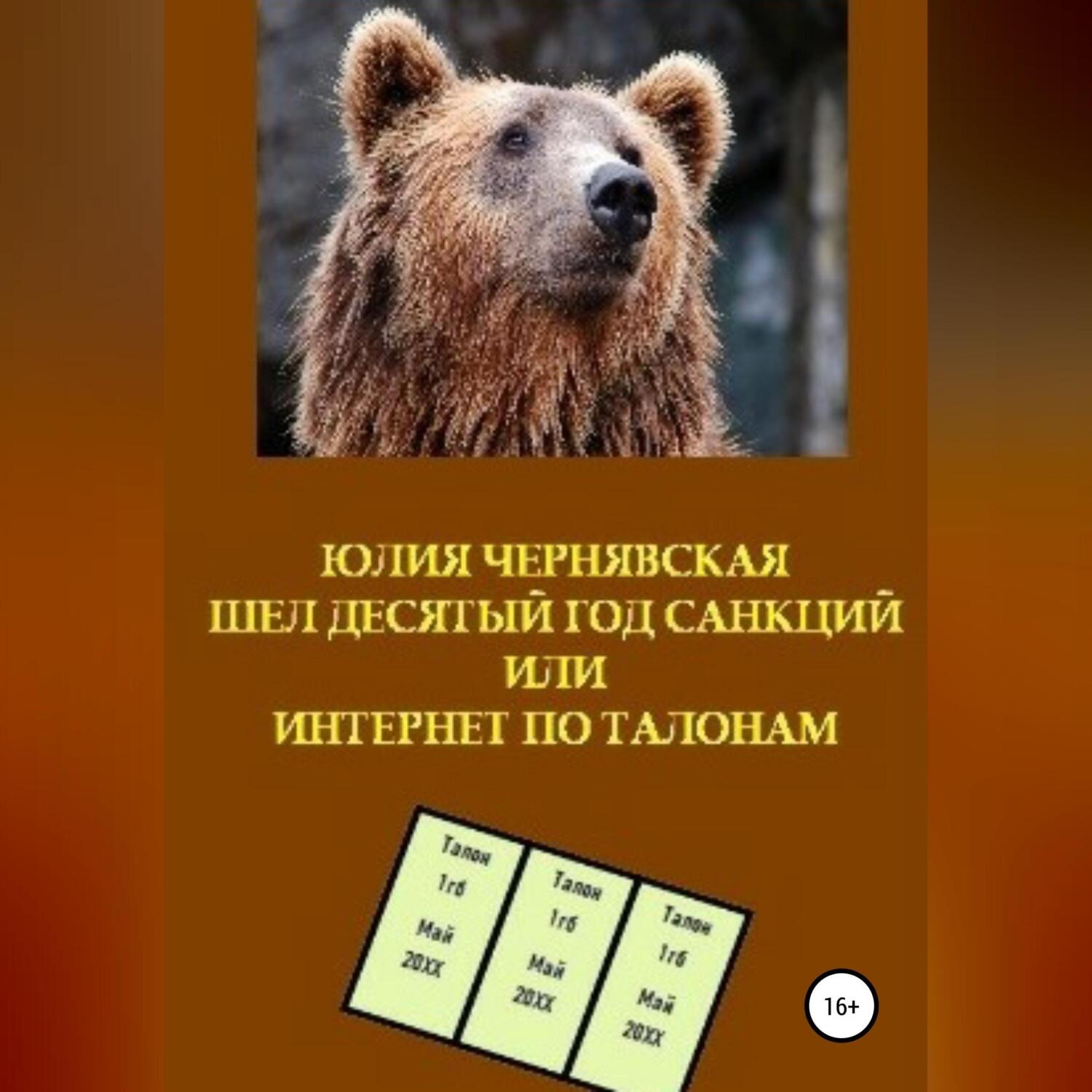 Обложка книги «Шел десятый год санкций или Интернет по талонам»