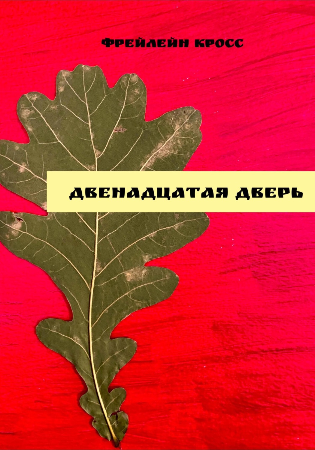 Обложка книги «Двенадцатая дверь»
