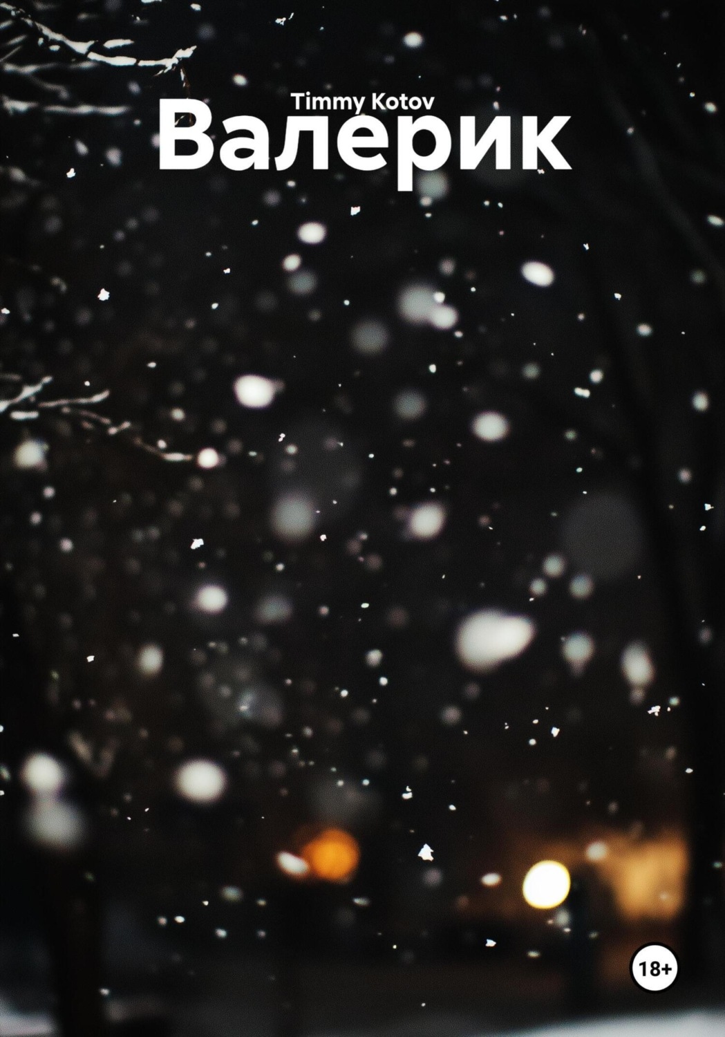 Обложка книги «Валерик»