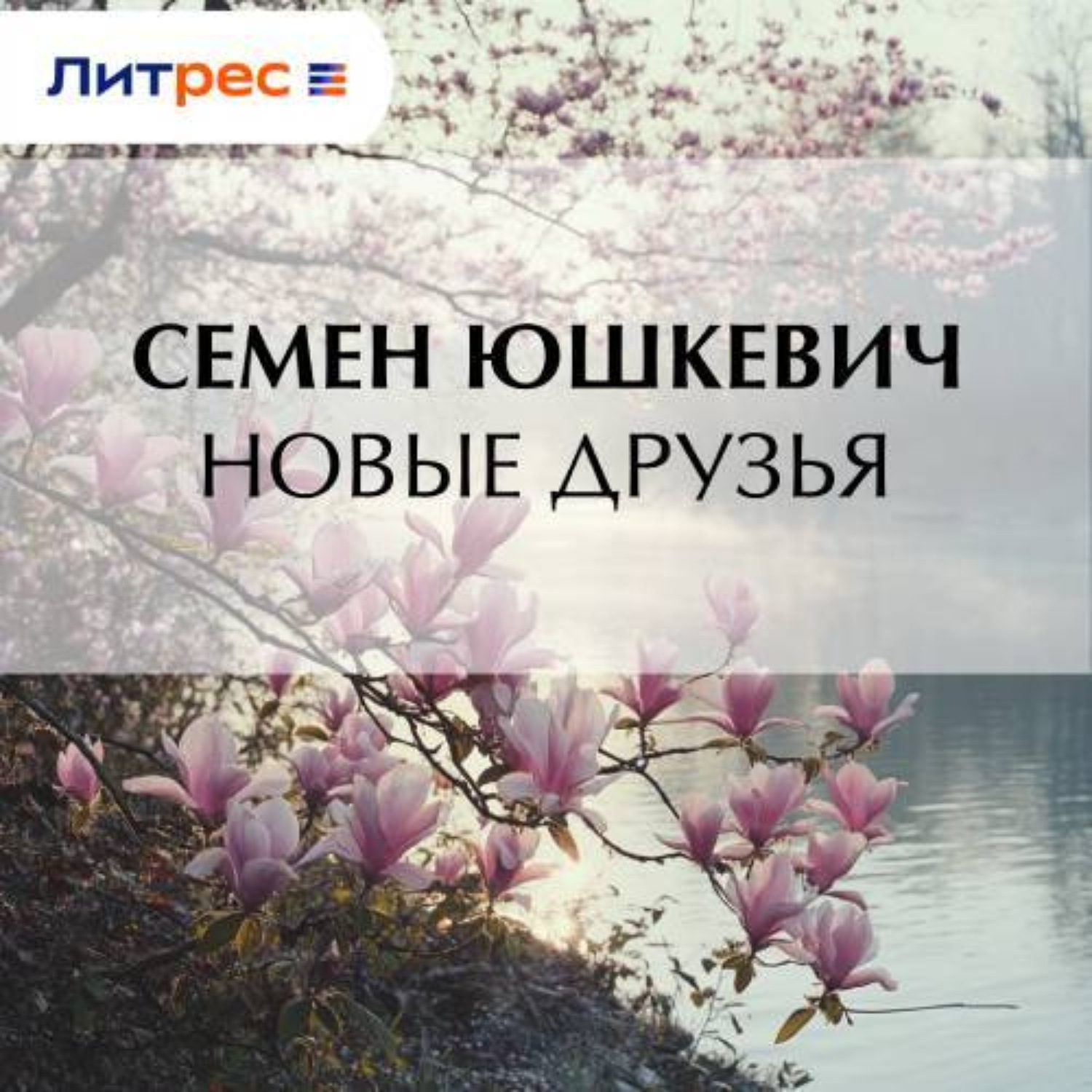 Обложка книги «Новые друзья»
