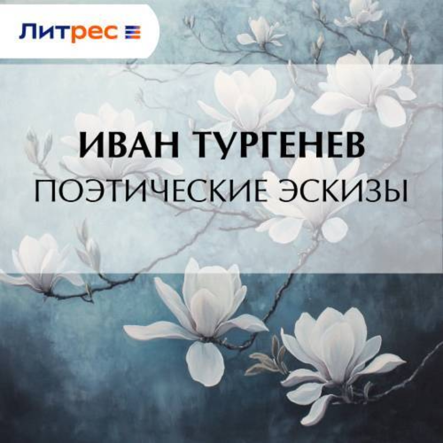 Обложка книги «Поэтические эскизы»