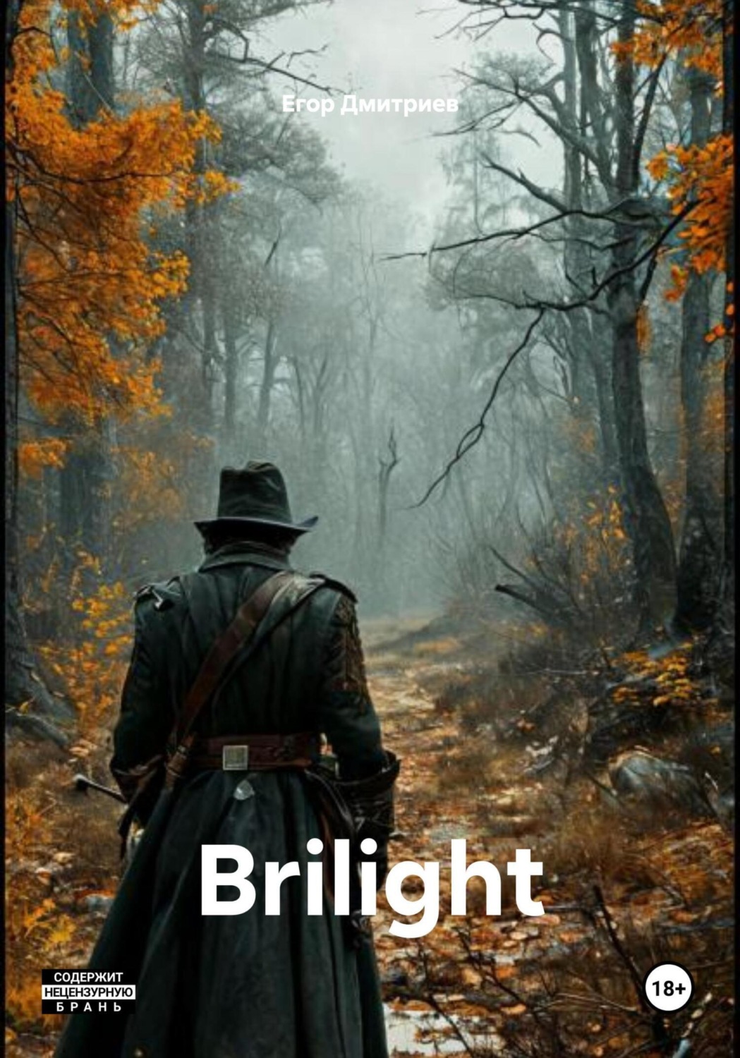 Обложка книги «Brilight»