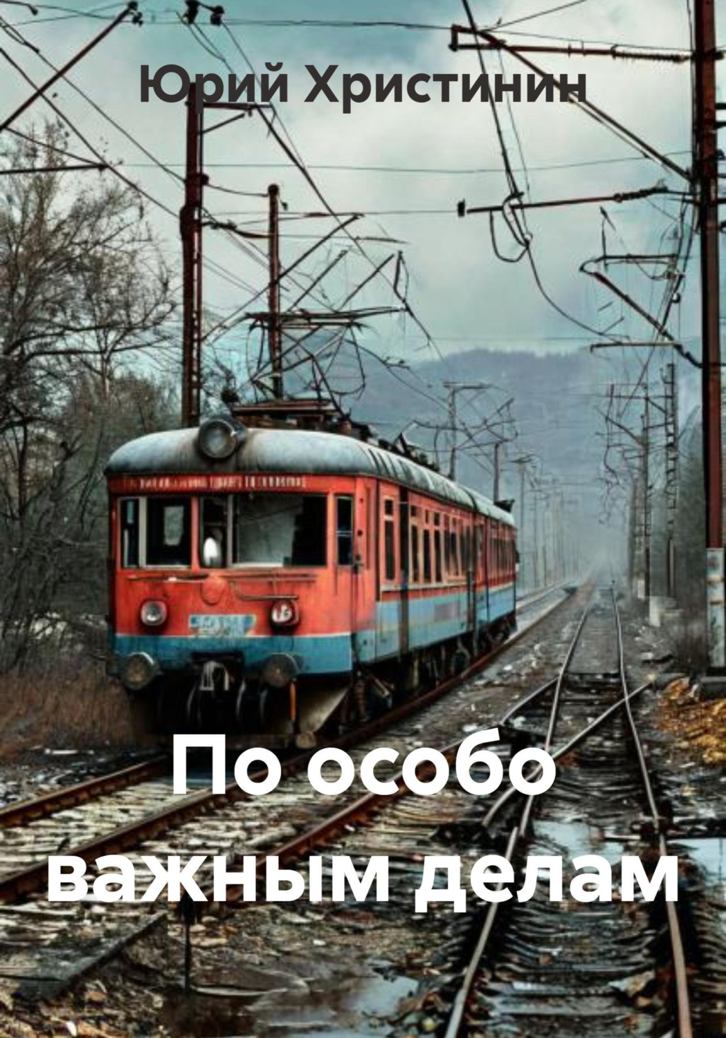 Обложка книги «По особо важным делам»