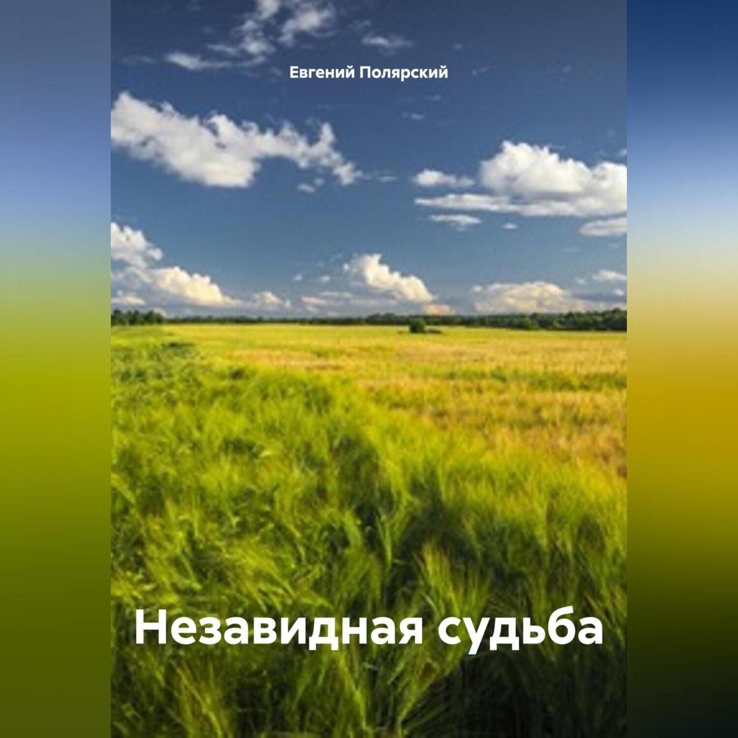Обложка книги «Незавидная судьба»