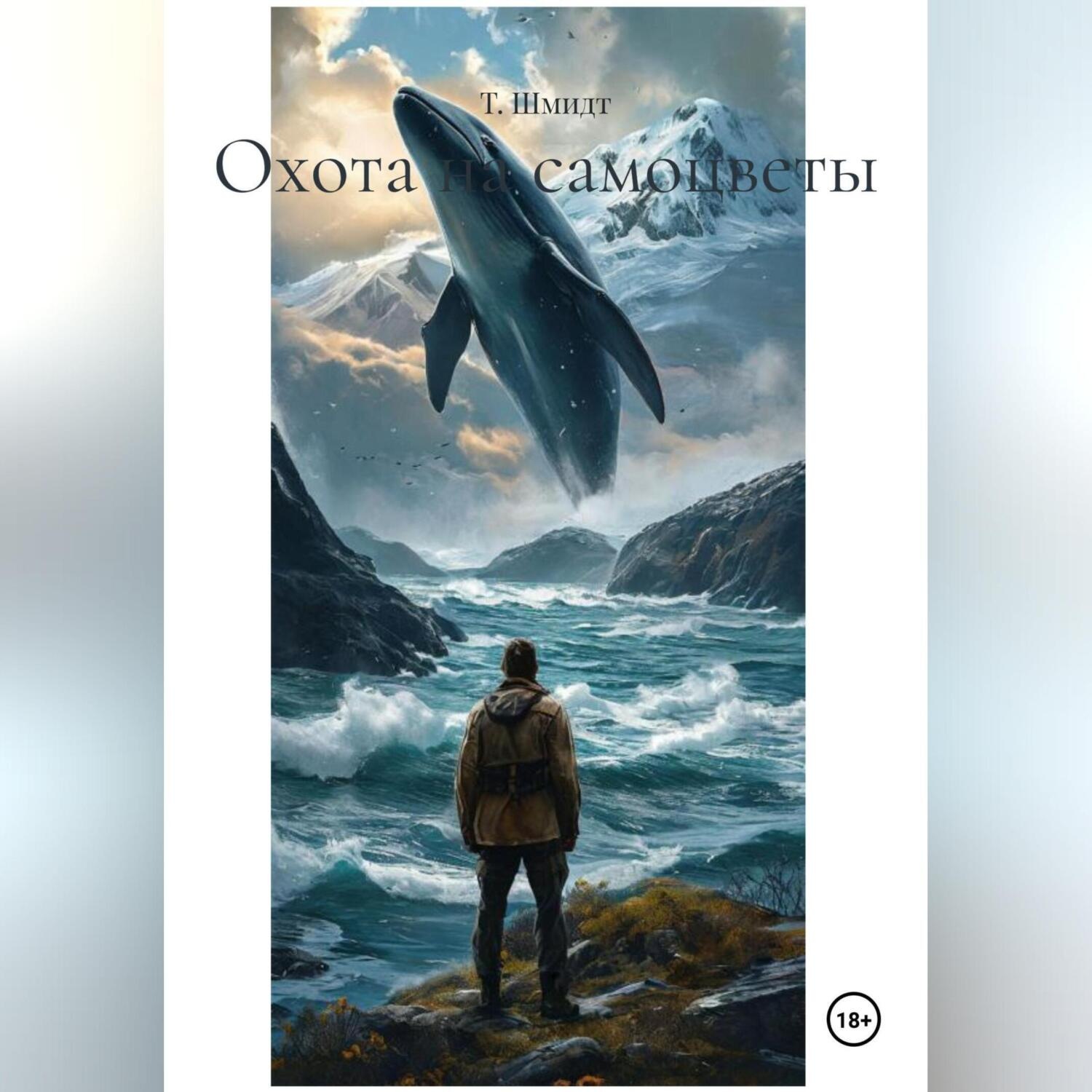 Обложка книги «Охота на самоцветы»