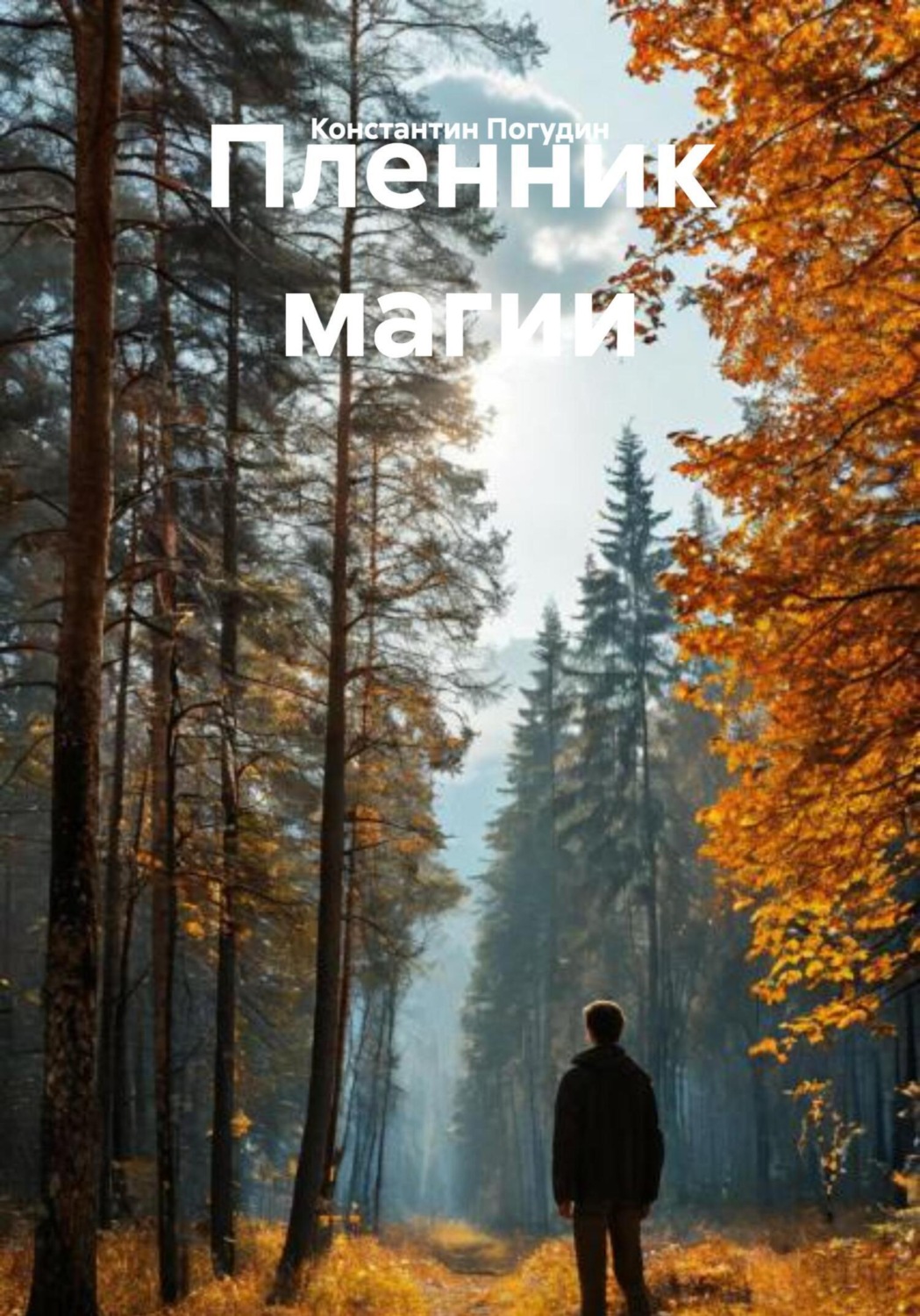 Обложка книги «Пленник магии»