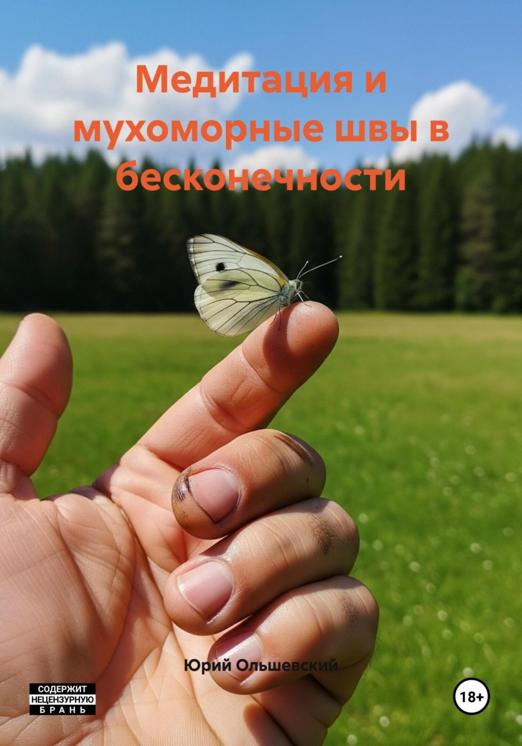 Обложка книги «Медитация и мухоморные швы в бесконечности»