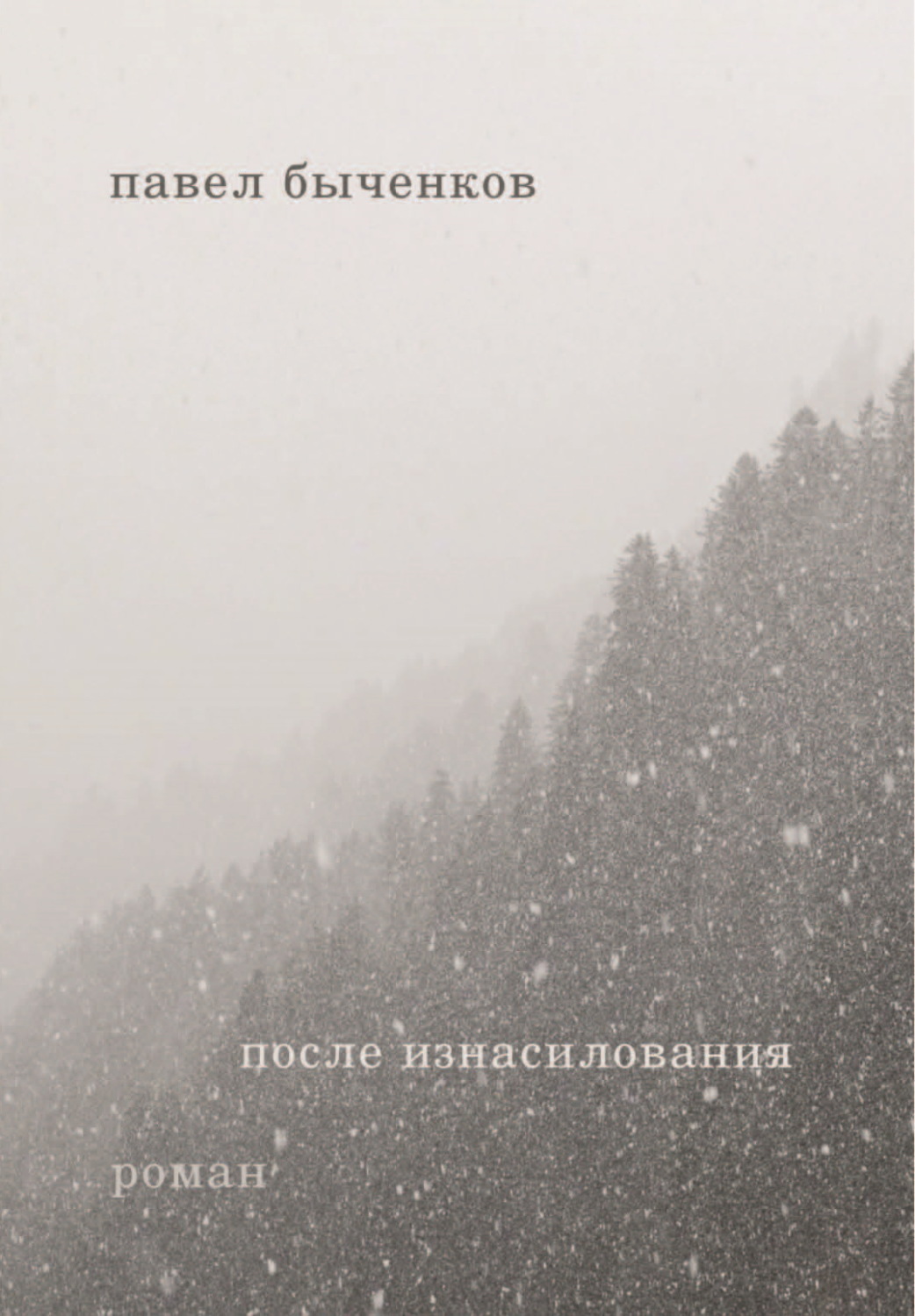 Обложка книги «После изнасилования»