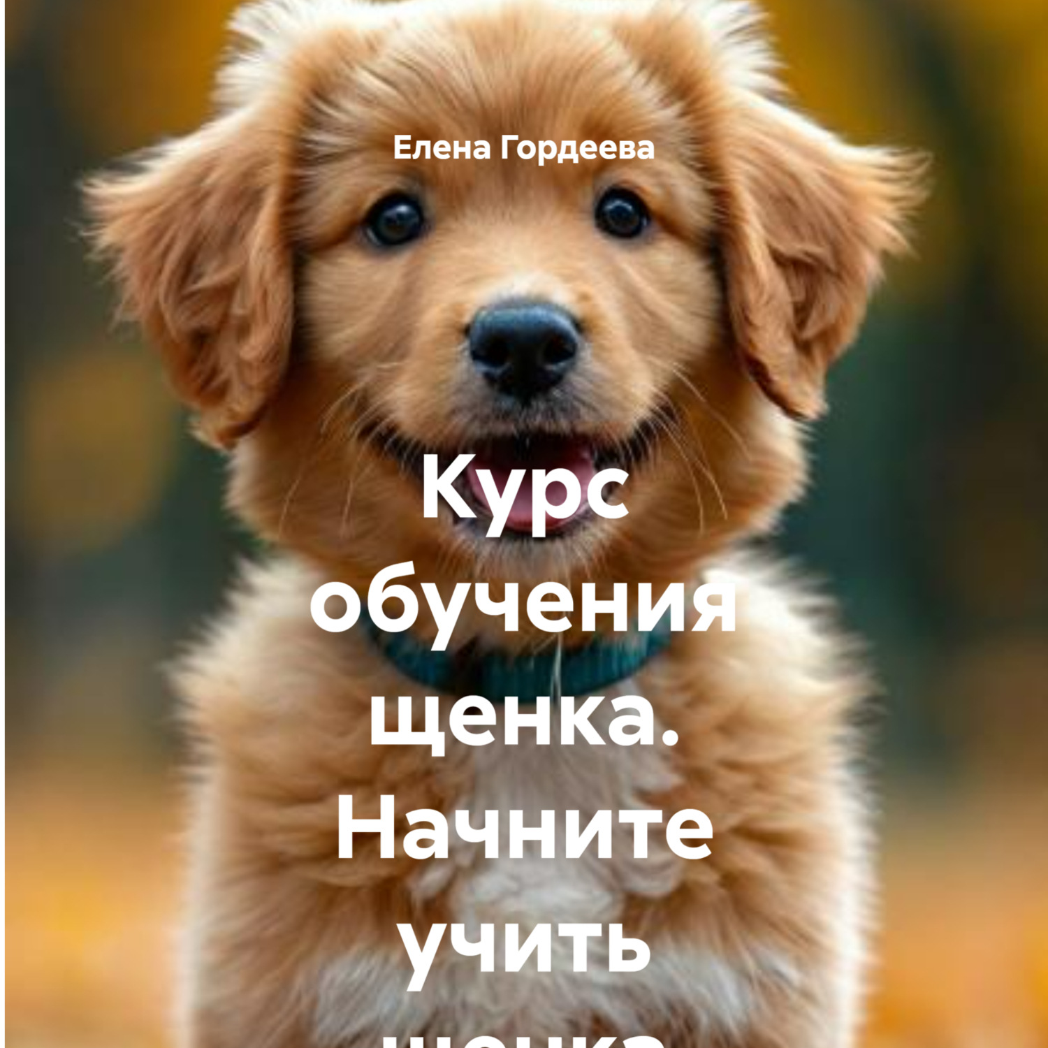 Обложка книги «Курс обучения щенка. Начните учить щенка с месячного возраста»