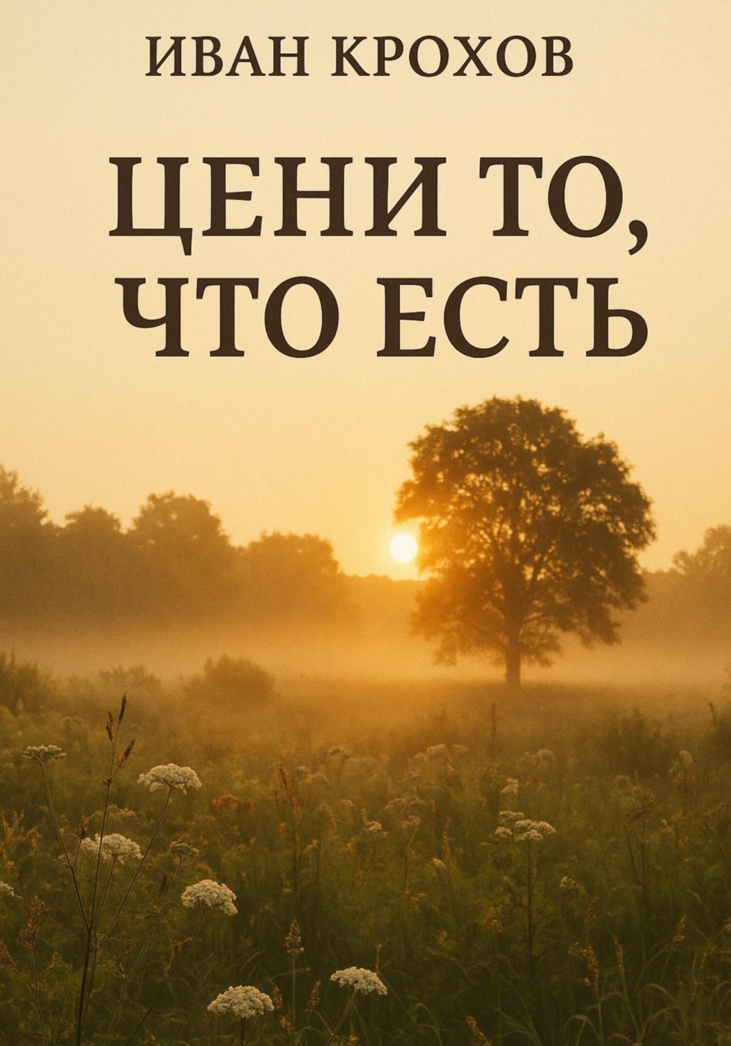 Обложка книги «Цени то, что есть»
