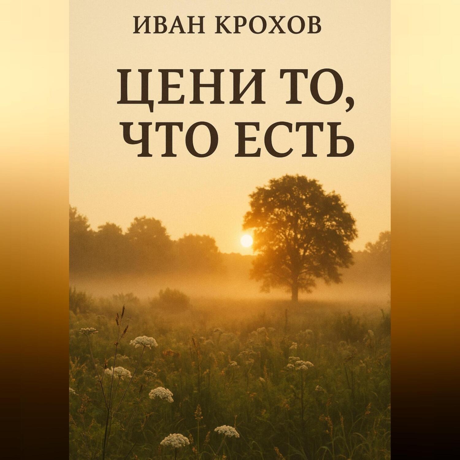 Обложка книги «Цени то, что есть»