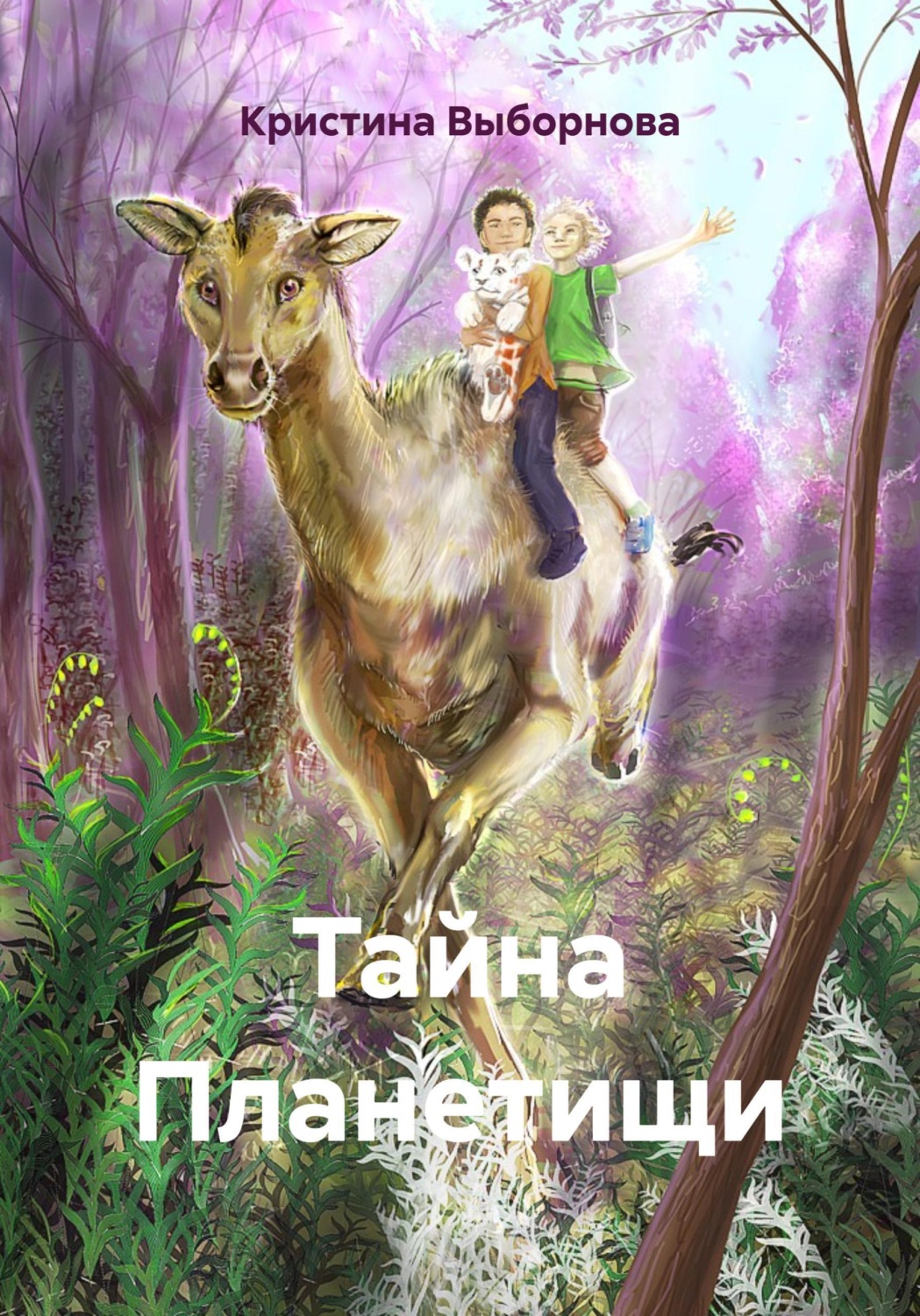 Обложка книги «Тайна Планетищи»