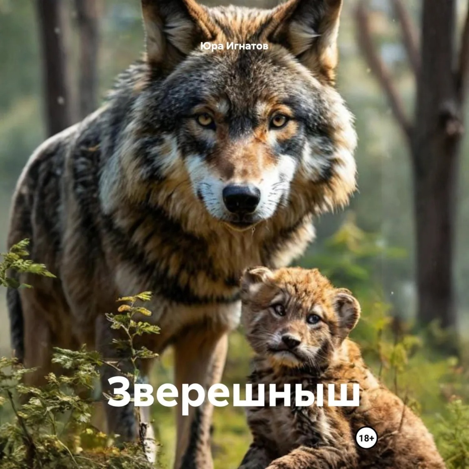 Обложка книги «Зверешныш»