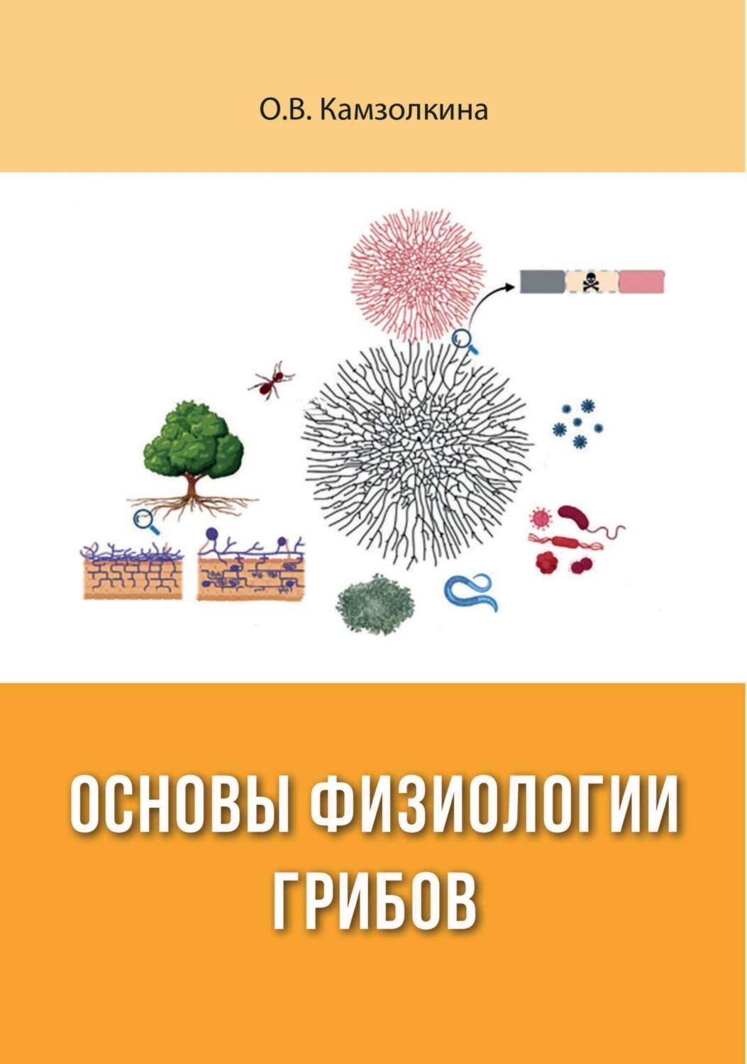 Обложка книги «Основы физиологии грибов»