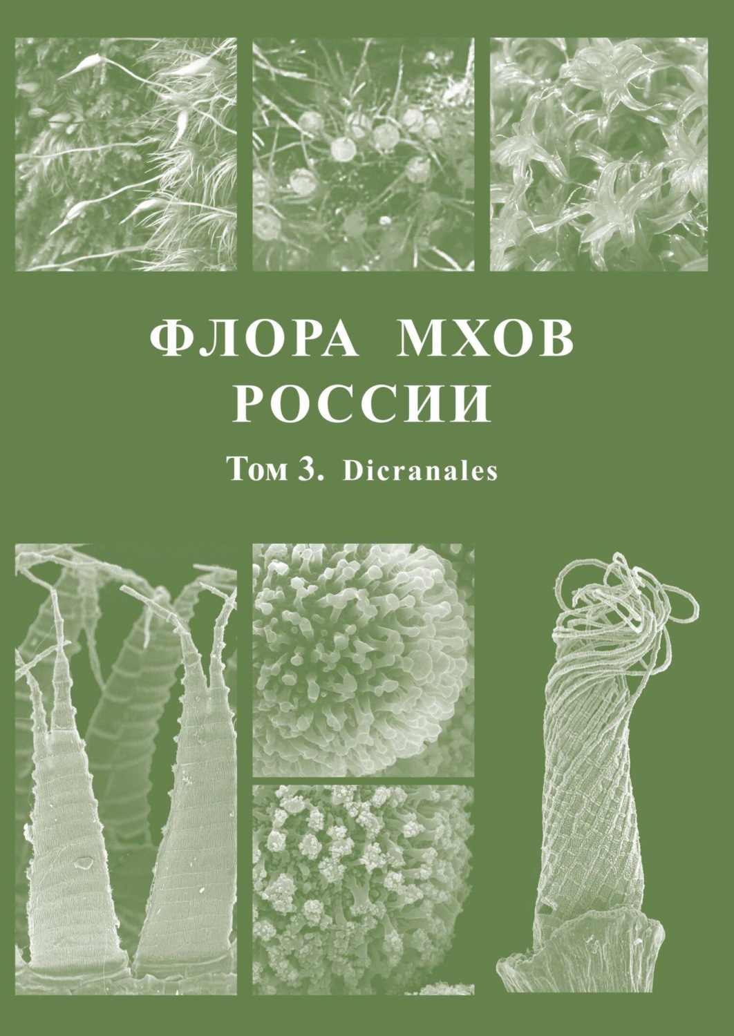 Обложка книги «Флора мхов России. Том 3. Dicranales»