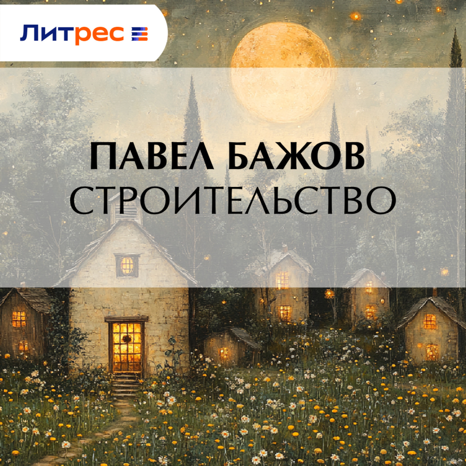 Обложка книги «Строительство»