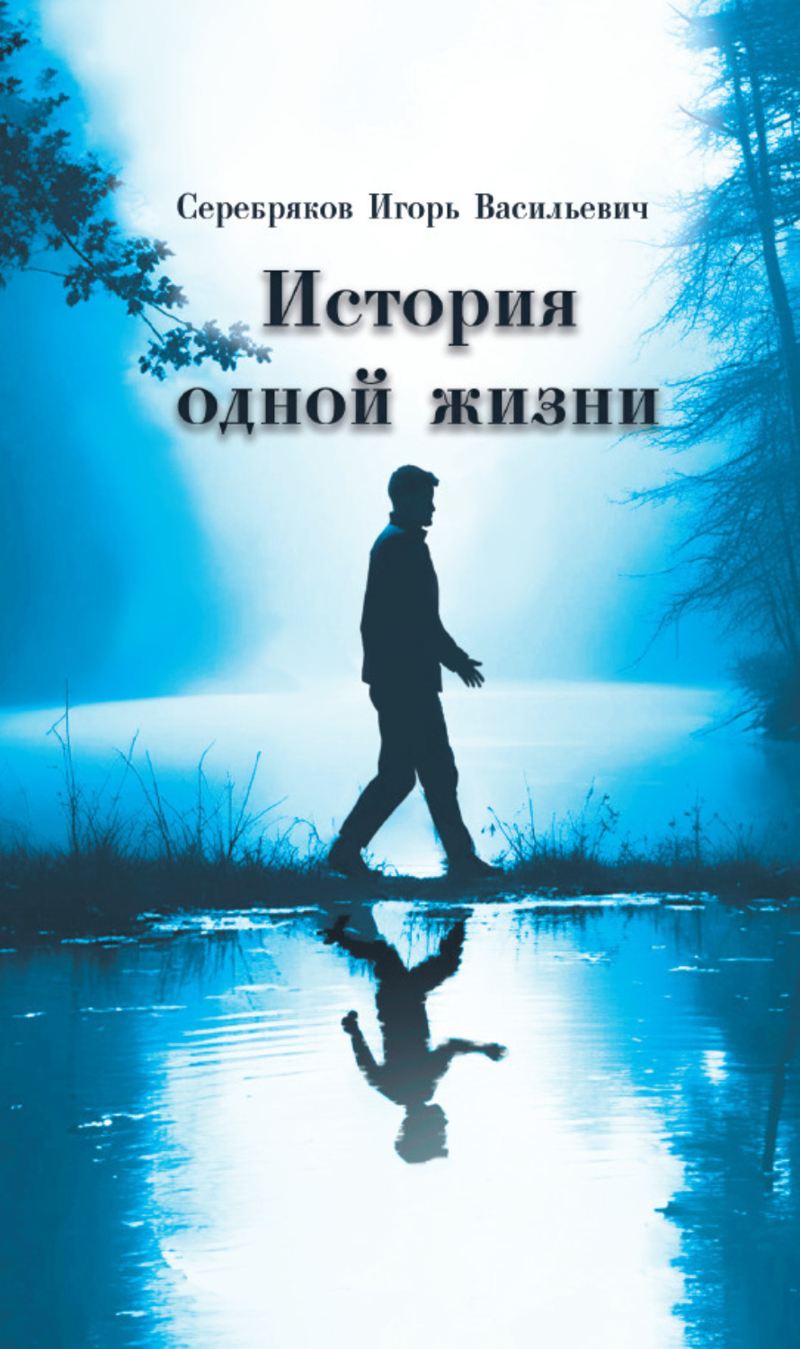 Обложка книги «История одной жизни»