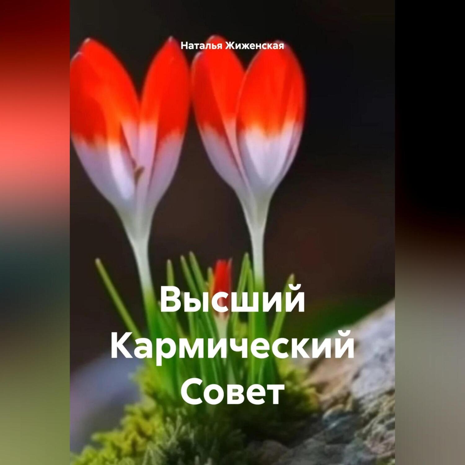Обложка книги «Высший Кармический Совет»