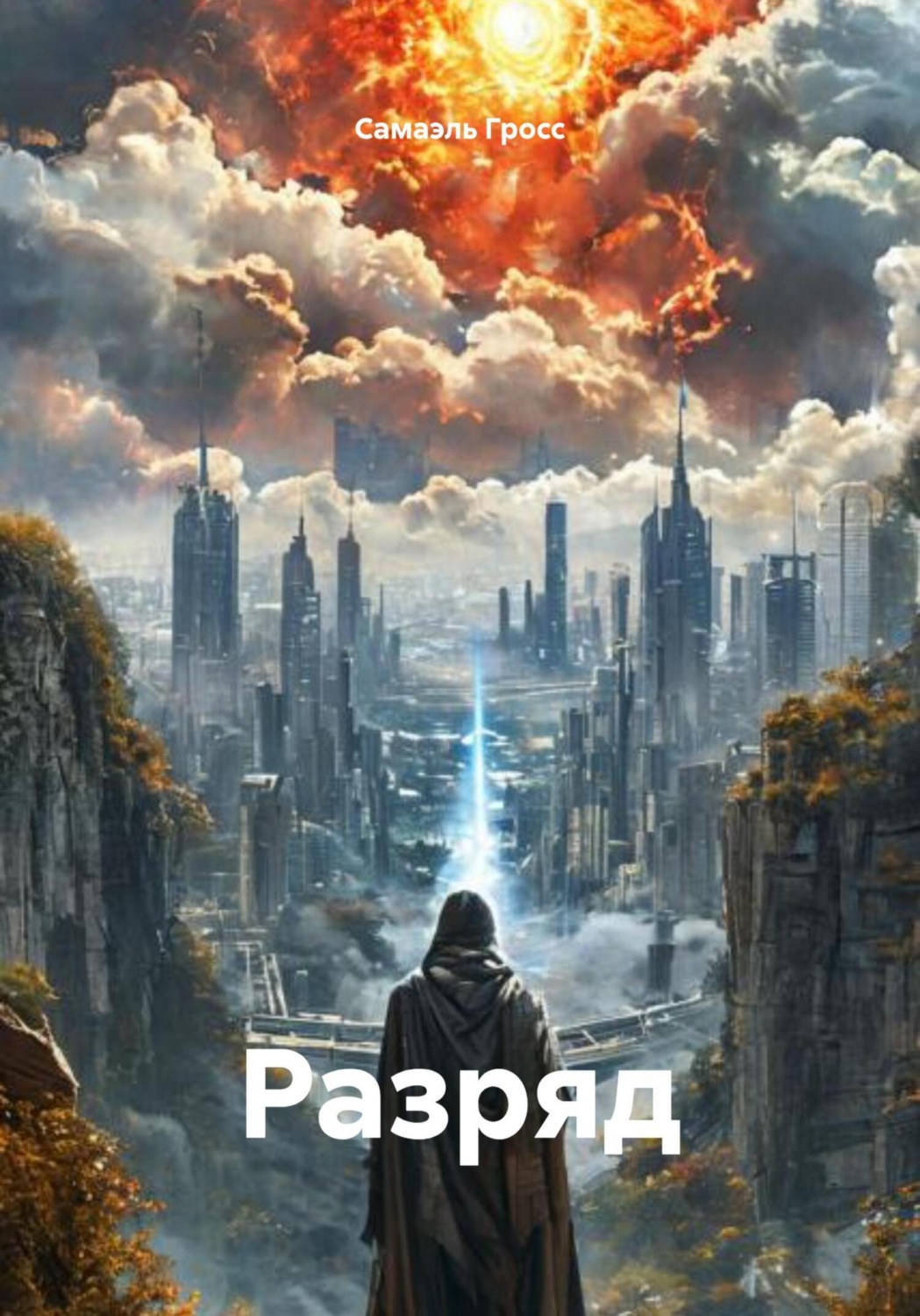 Обложка книги «Разряд»
