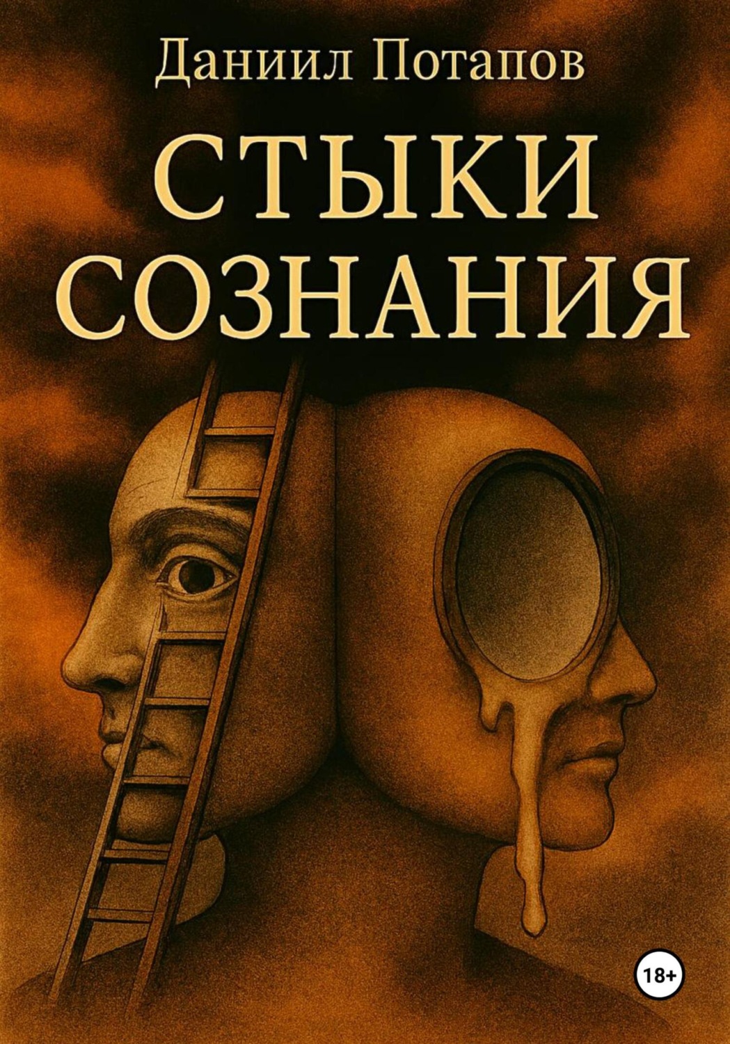 Обложка книги «Стыки сознания»