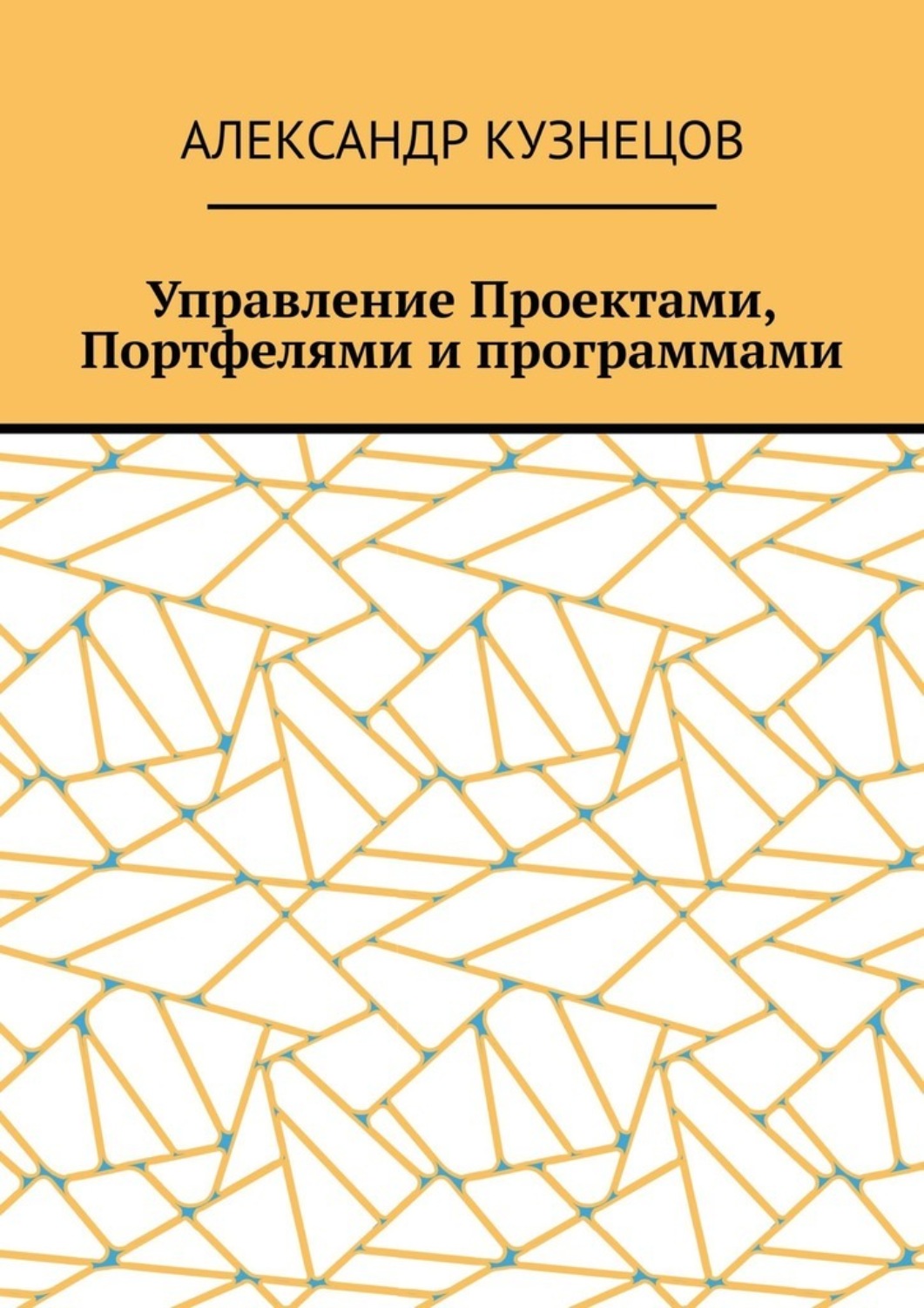 Обложка книги «Управление проектами, портфелями и программами»