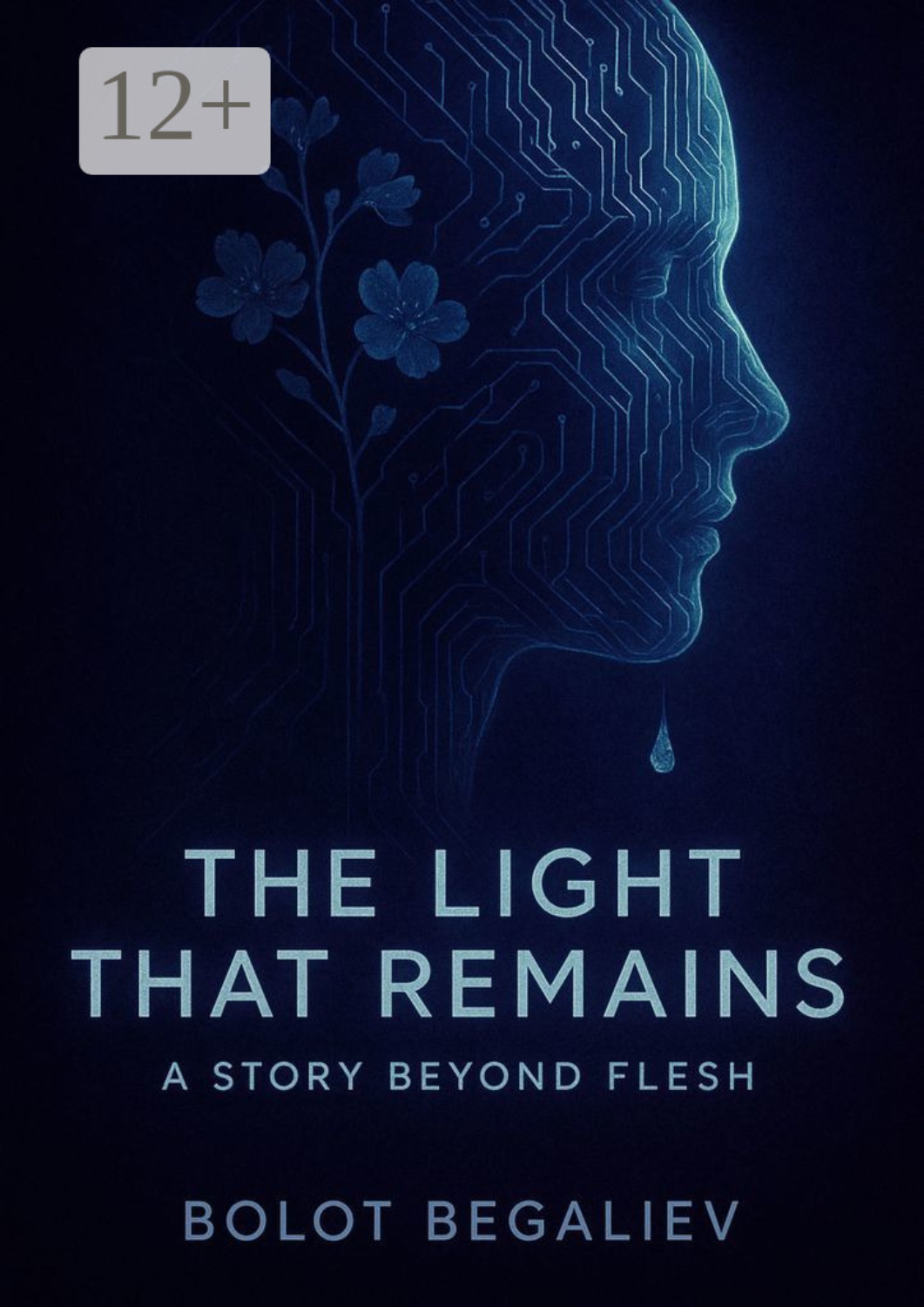 Обложка книги «The light that remains»