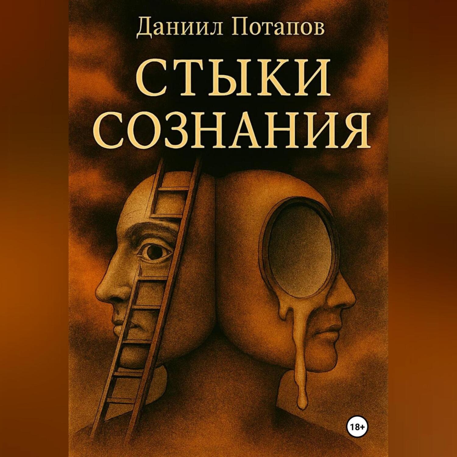 Обложка книги «Стыки сознания»