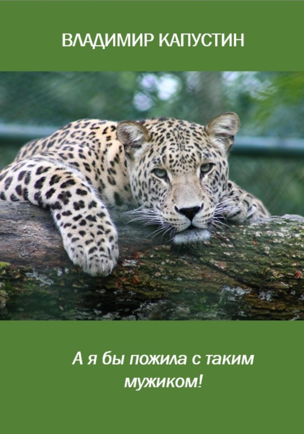 Обложка книги «А я бы пожила с таким мужиком»