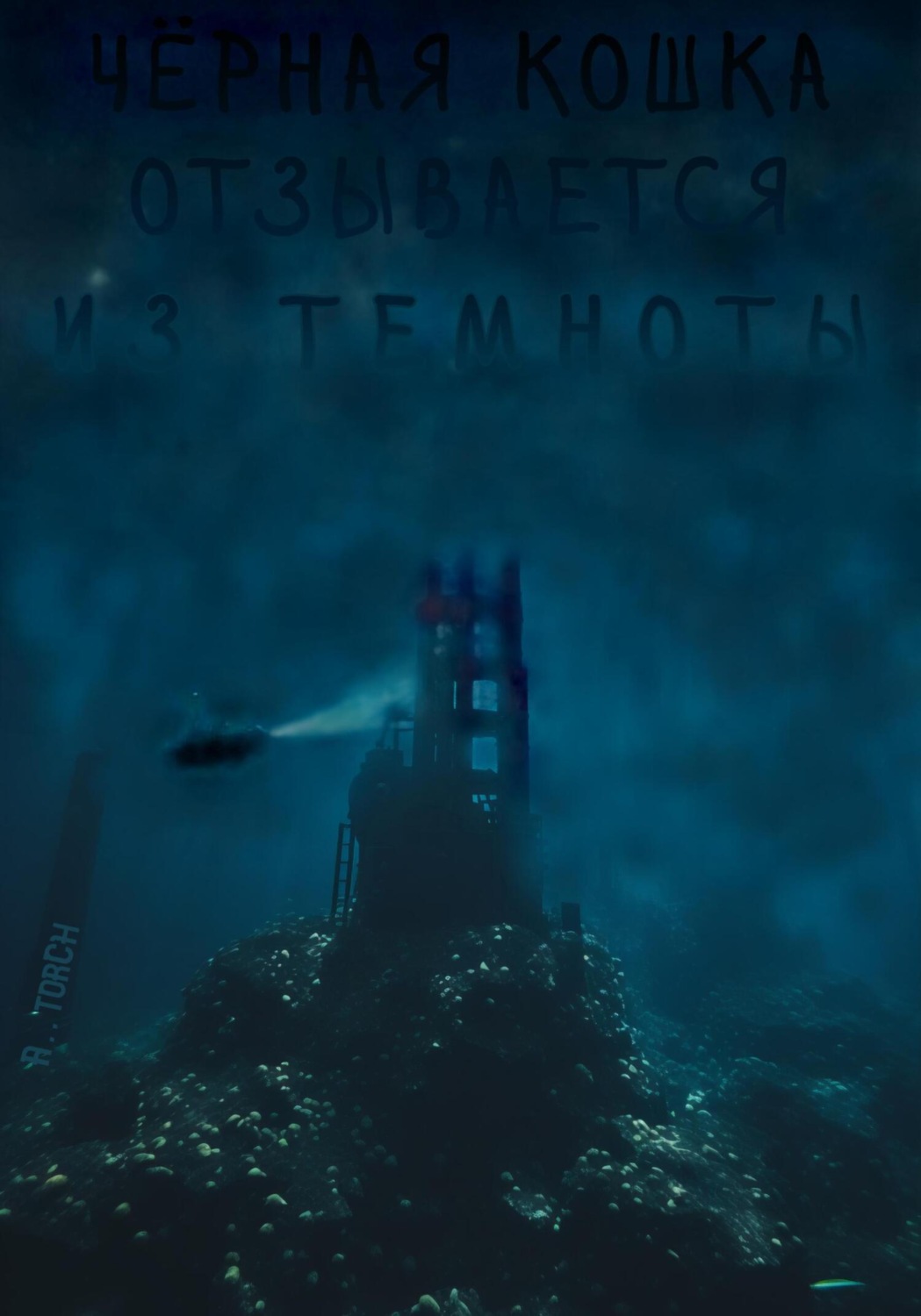 Обложка книги «Чёрная кошка отзывается из темноты»