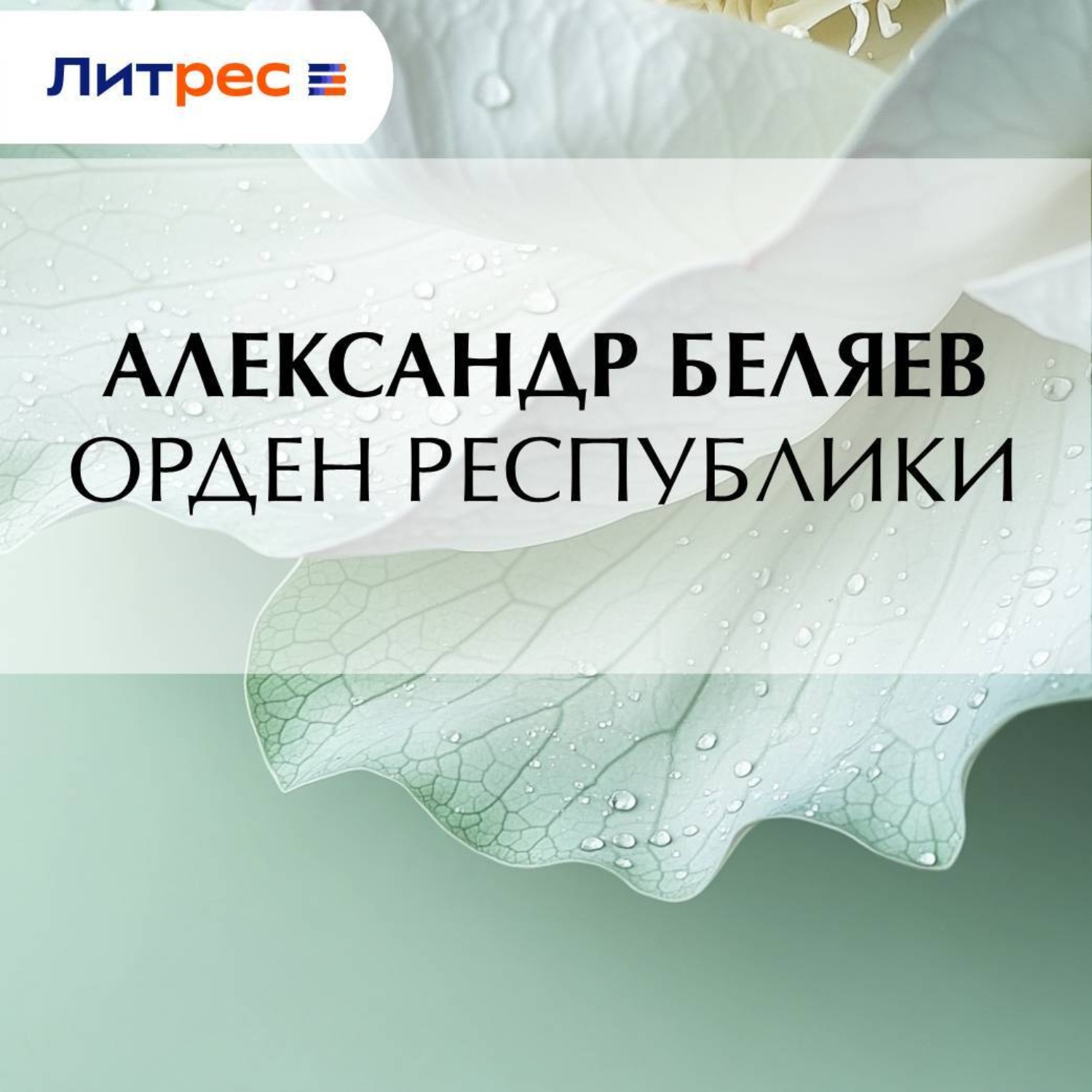 Обложка книги «Орден республики»