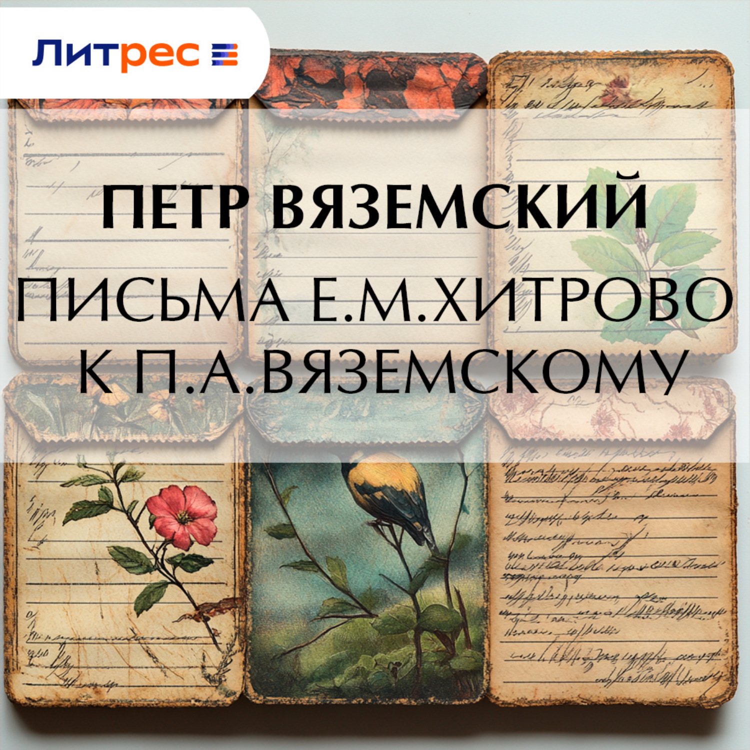 Обложка книги «Письма Е.М.Хитрово к П.А.Вяземскому»