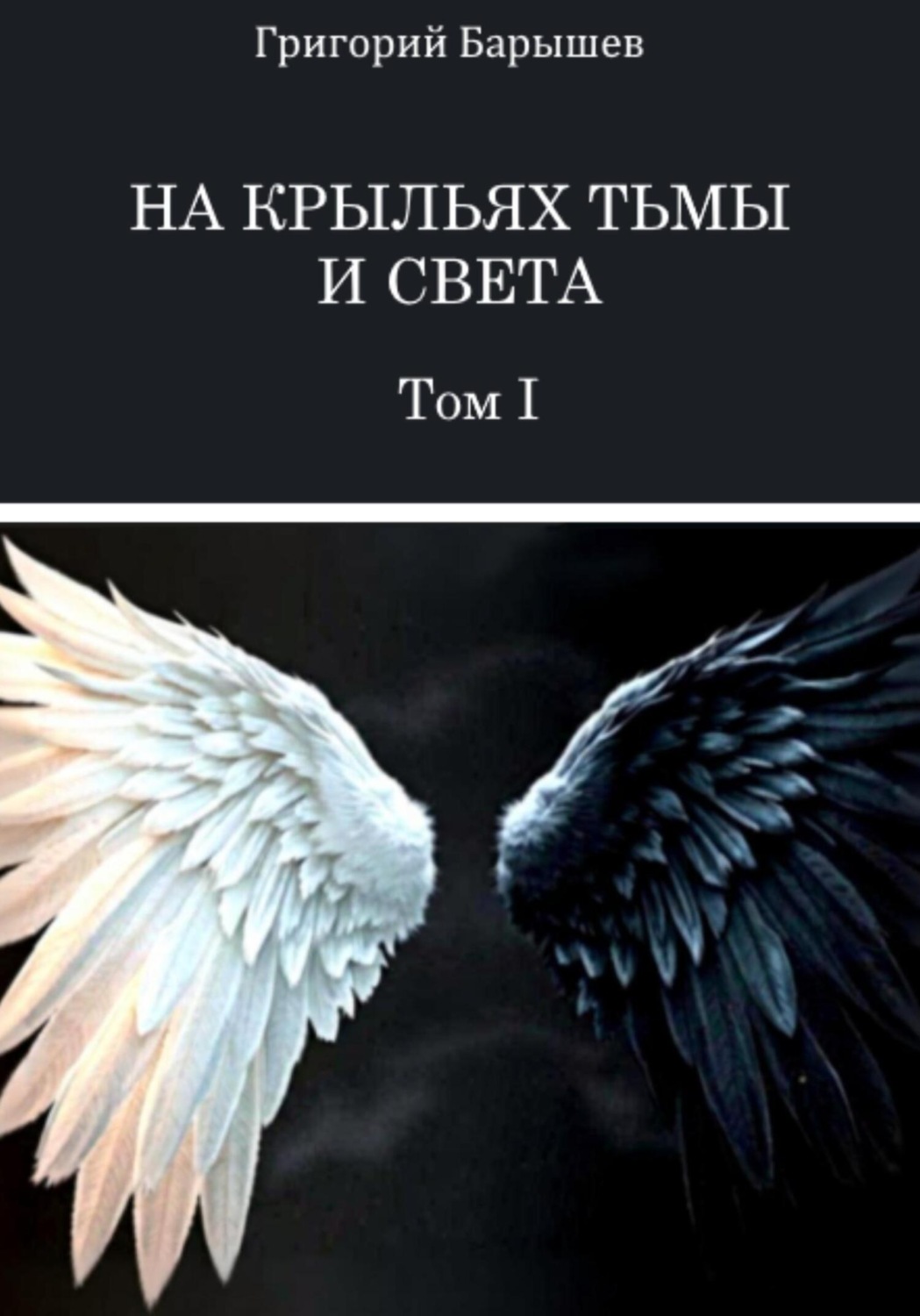 Обложка книги «На крыльях тьмы и света: Том I»