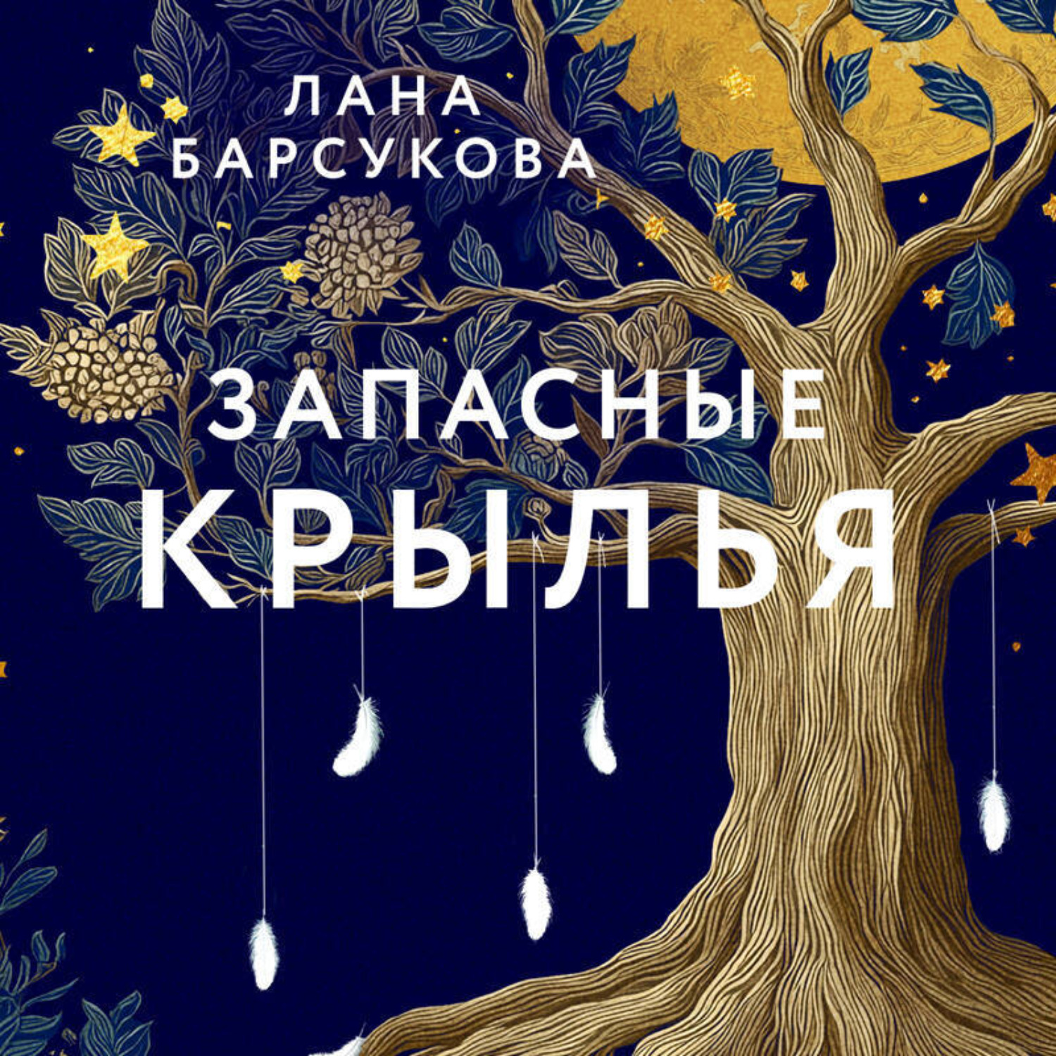 Обложка книги «Запасные крылья»