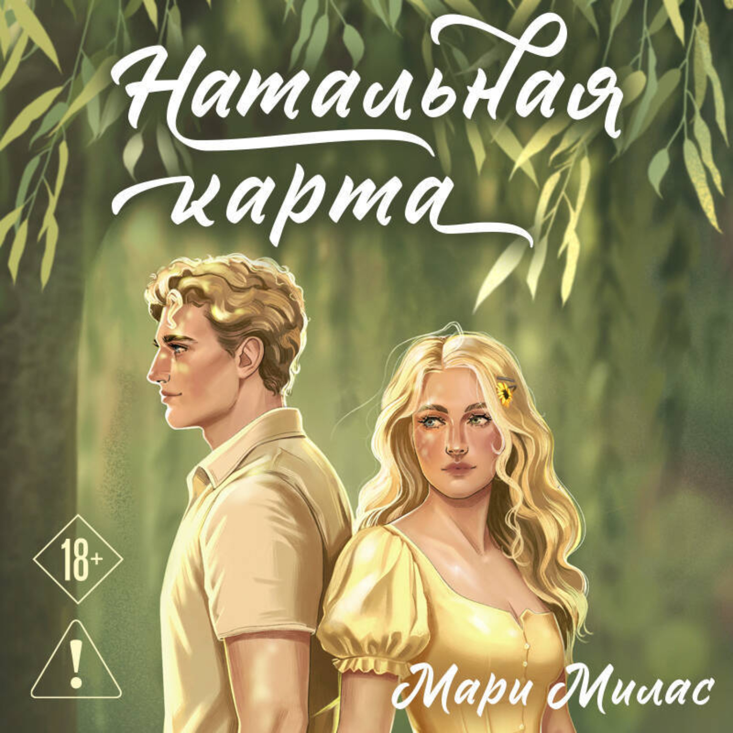 Обложка книги «Натальная карта»