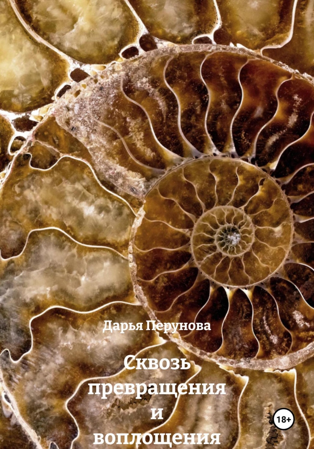 Обложка книги «Сквозь превращения и воплощения»