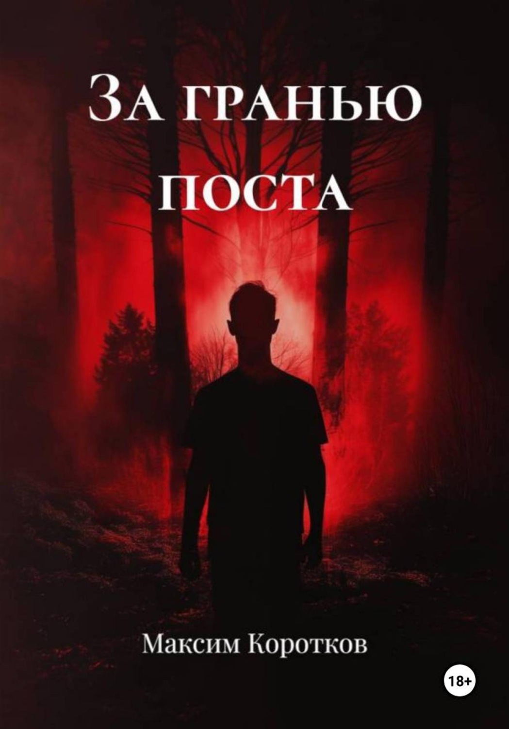 Обложка книги «За гранью поста»