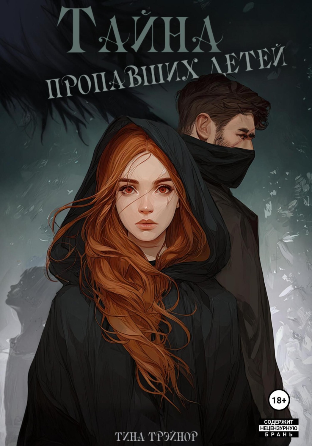 Обложка книги «Тайна пропавших детей»