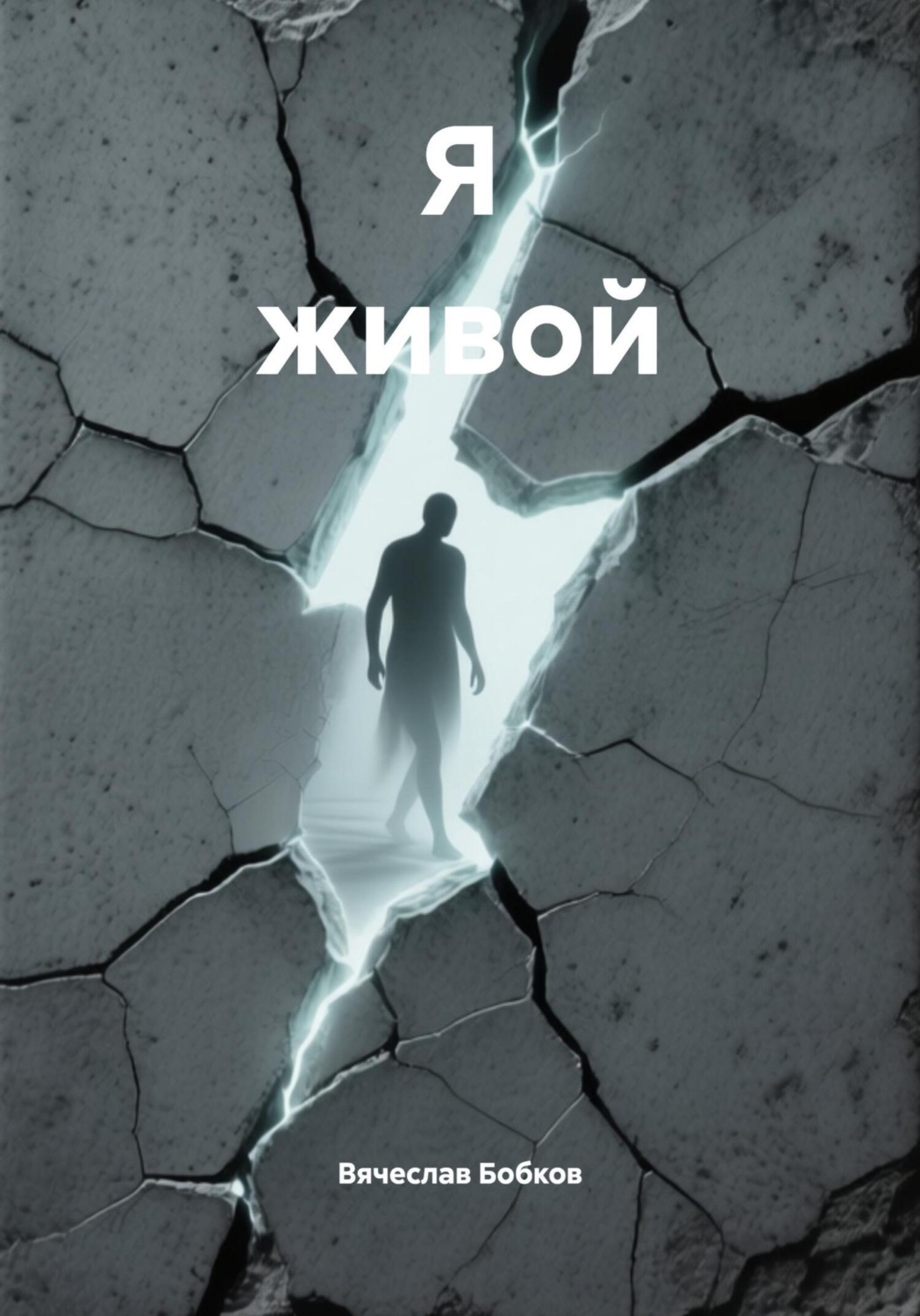 Обложка книги «Я живой»