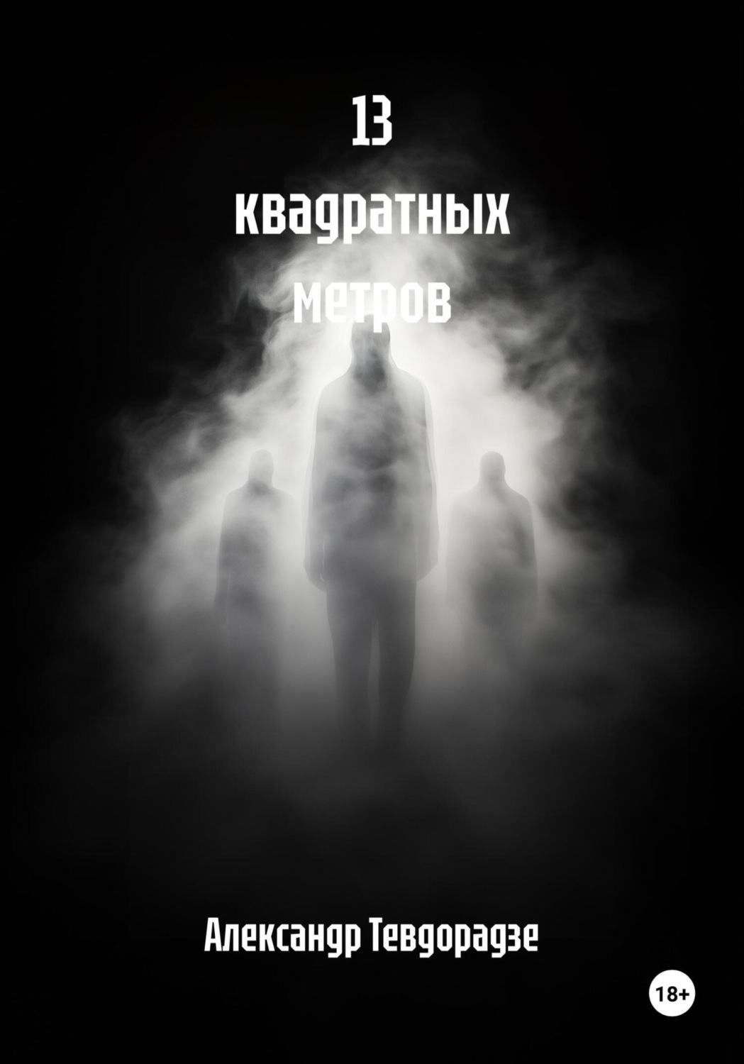 Обложка книги «13 квадратных метров»