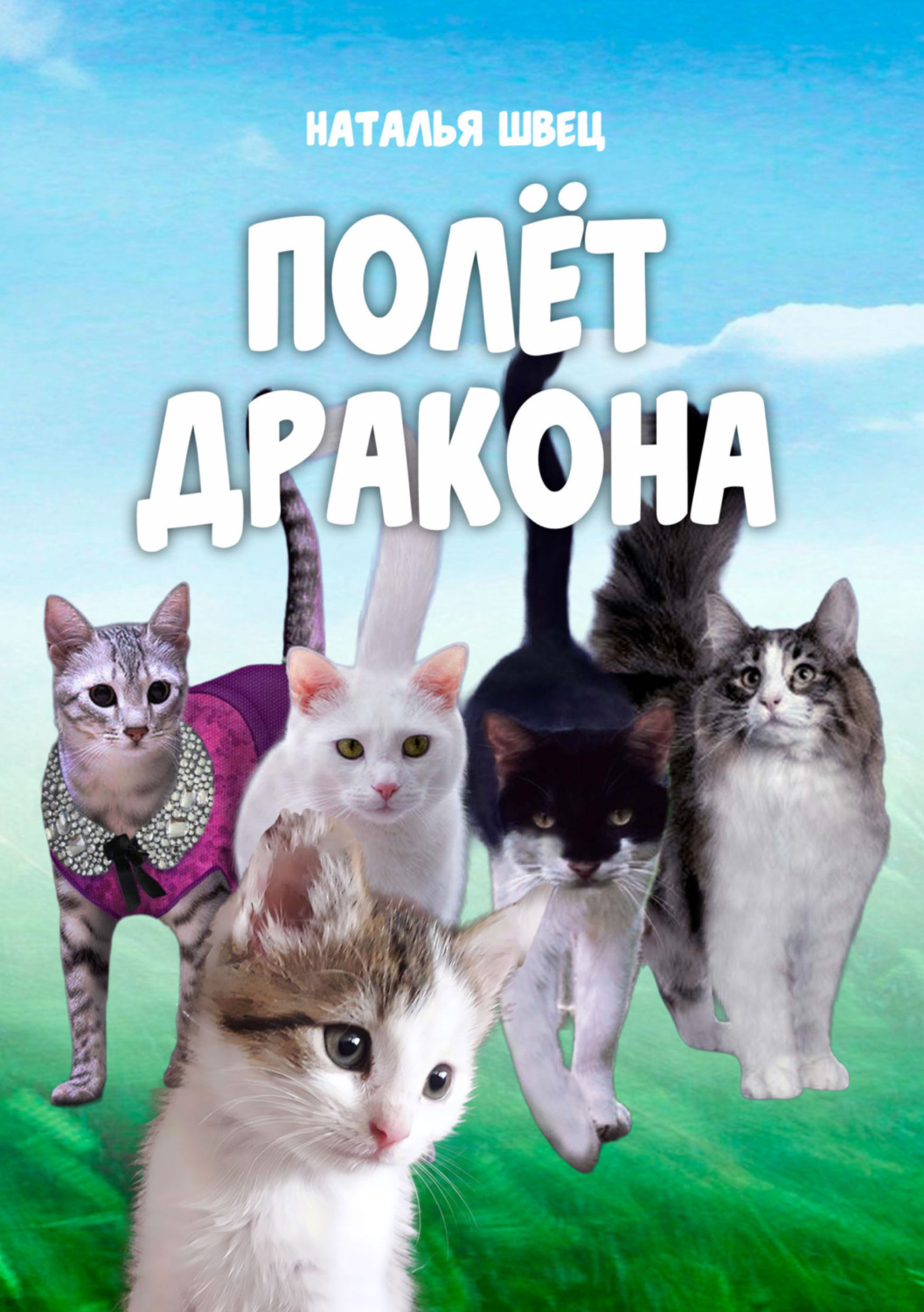 Обложка книги «Полет дракона»