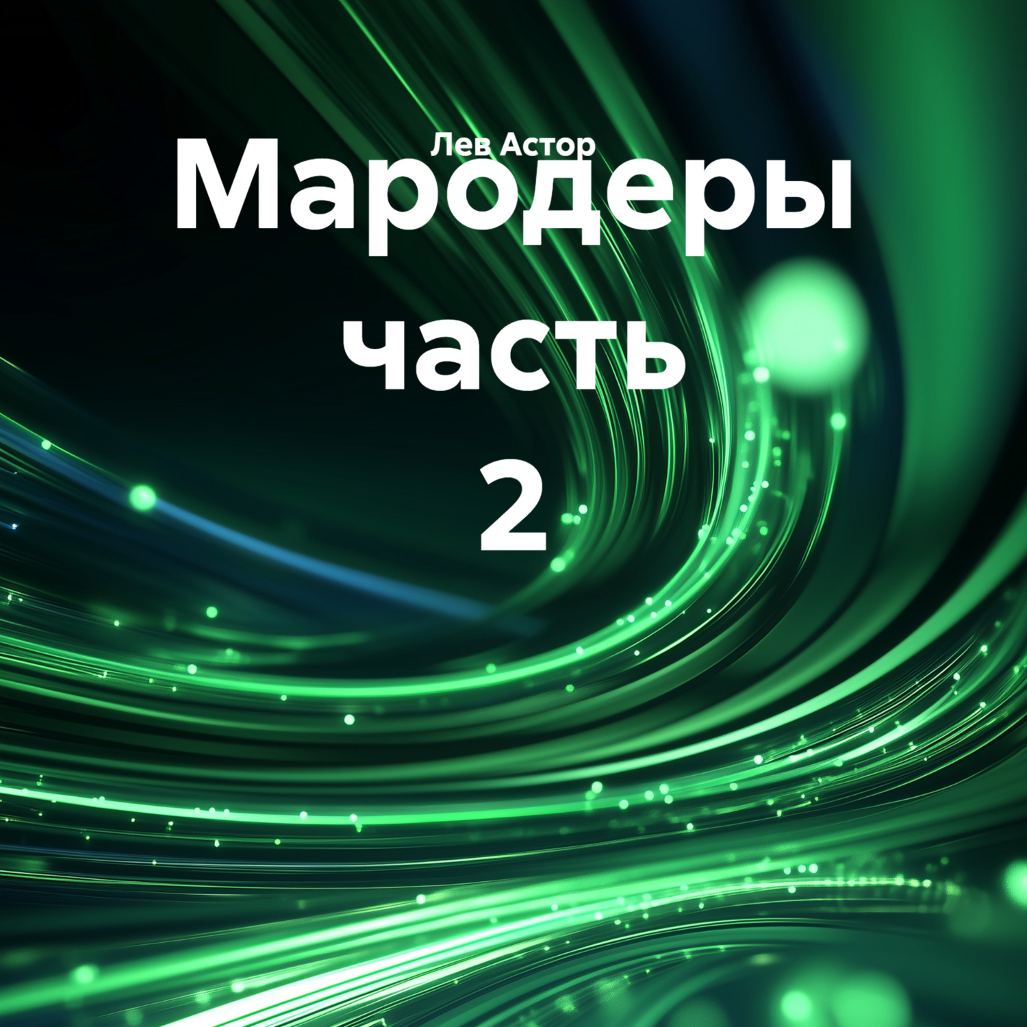 Обложка книги «Мародеры часть 2»