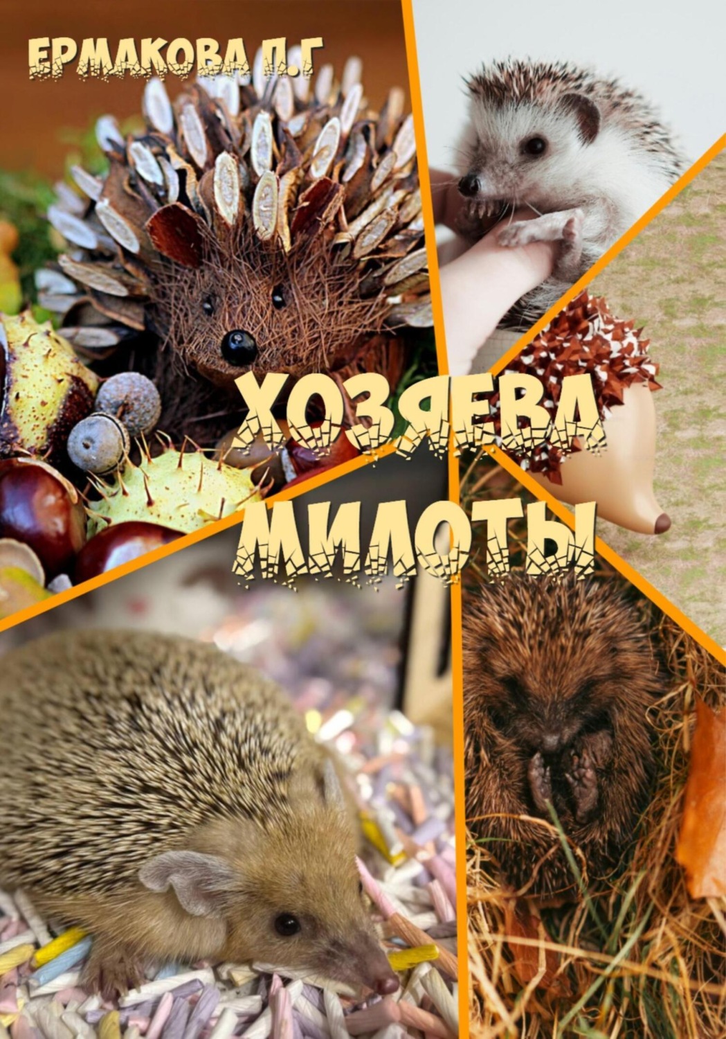Обложка книги «Хозяева Милоты»