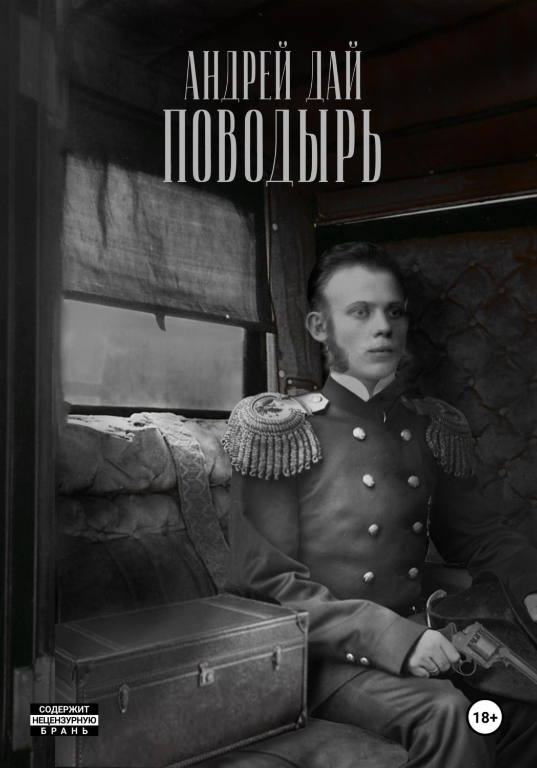 Обложка книги «Поводырь»